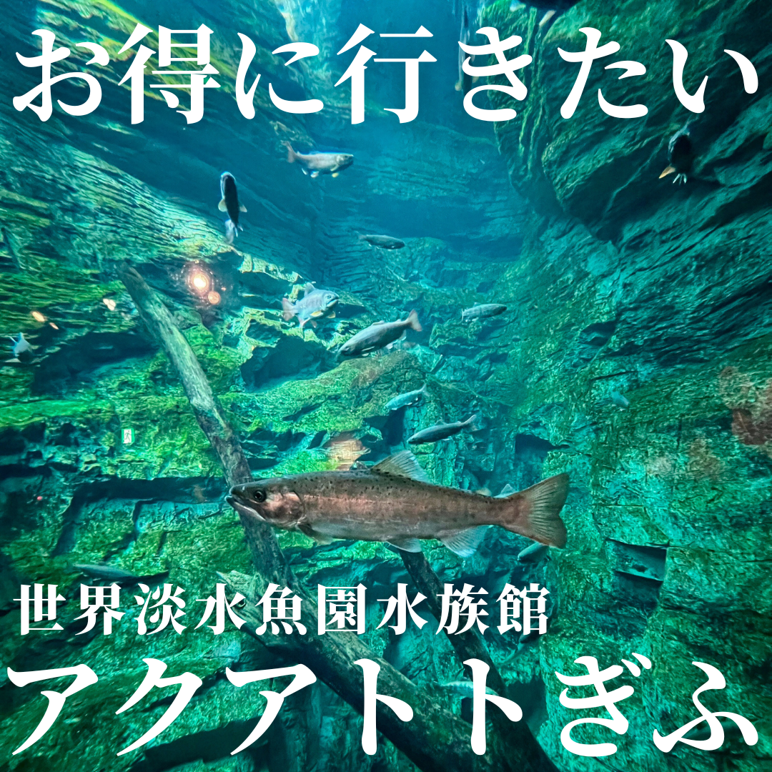 岐阜県各務原市 世界淡水魚園水族館 アクアトト