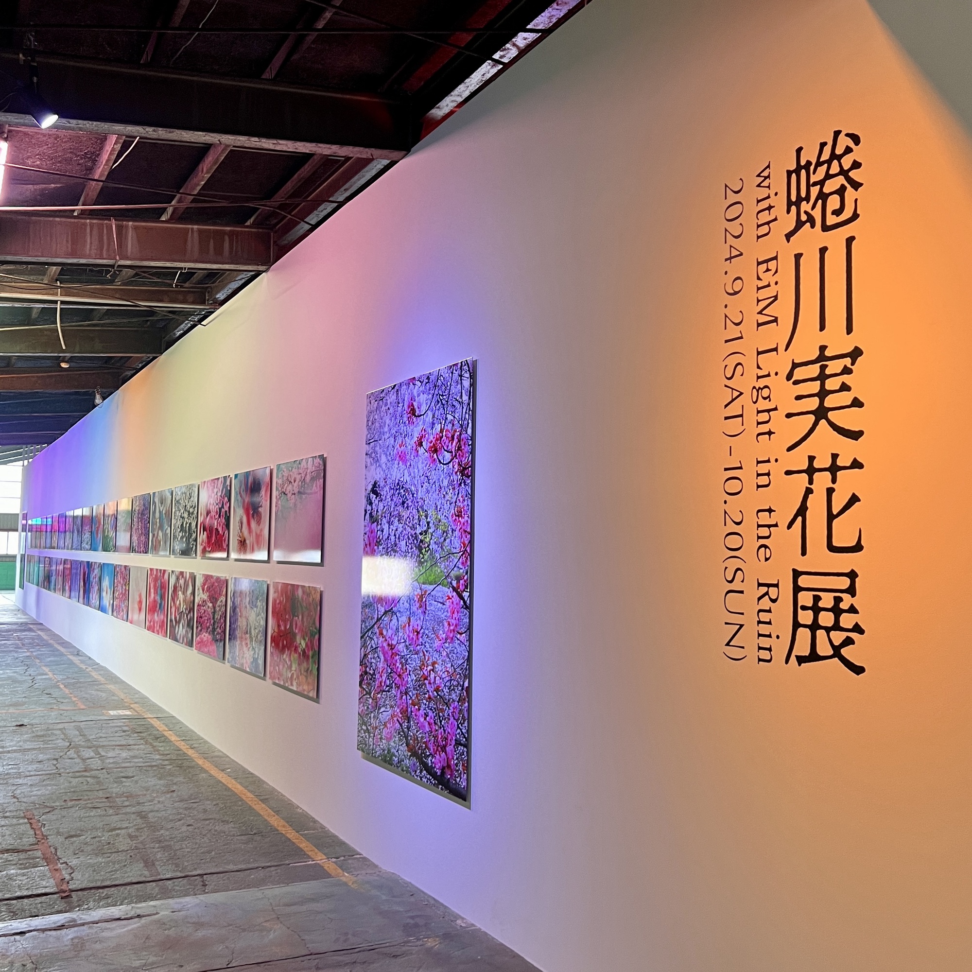 蜷川実花展 with EiM Lights in the Ruin