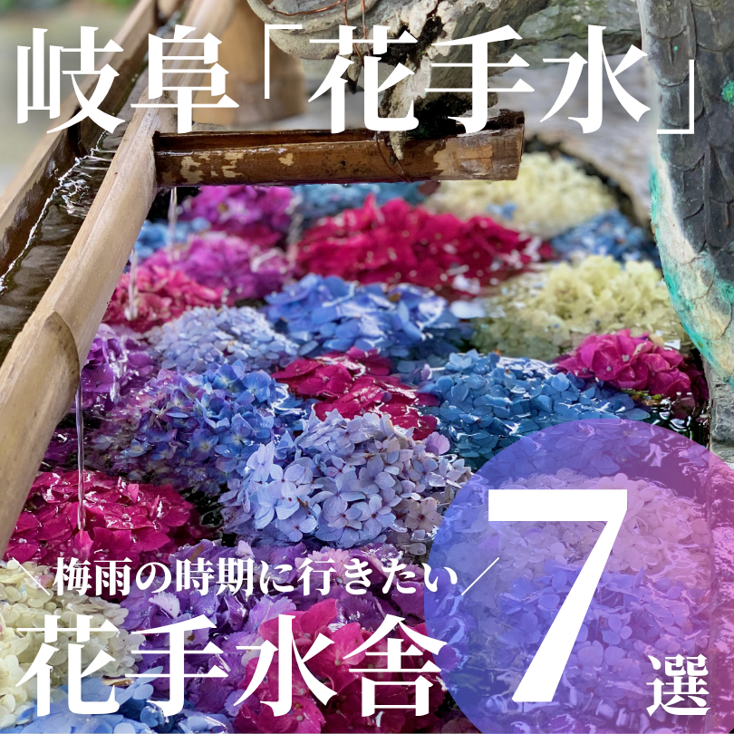 岐阜 花手水 神社 寺院 紫陽花