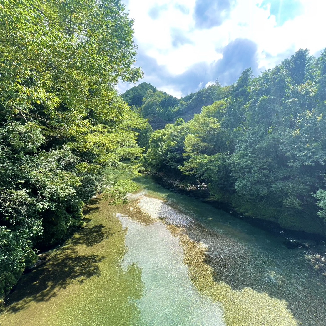 岐阜 山県市 リコドルチェ RICO DOLCE