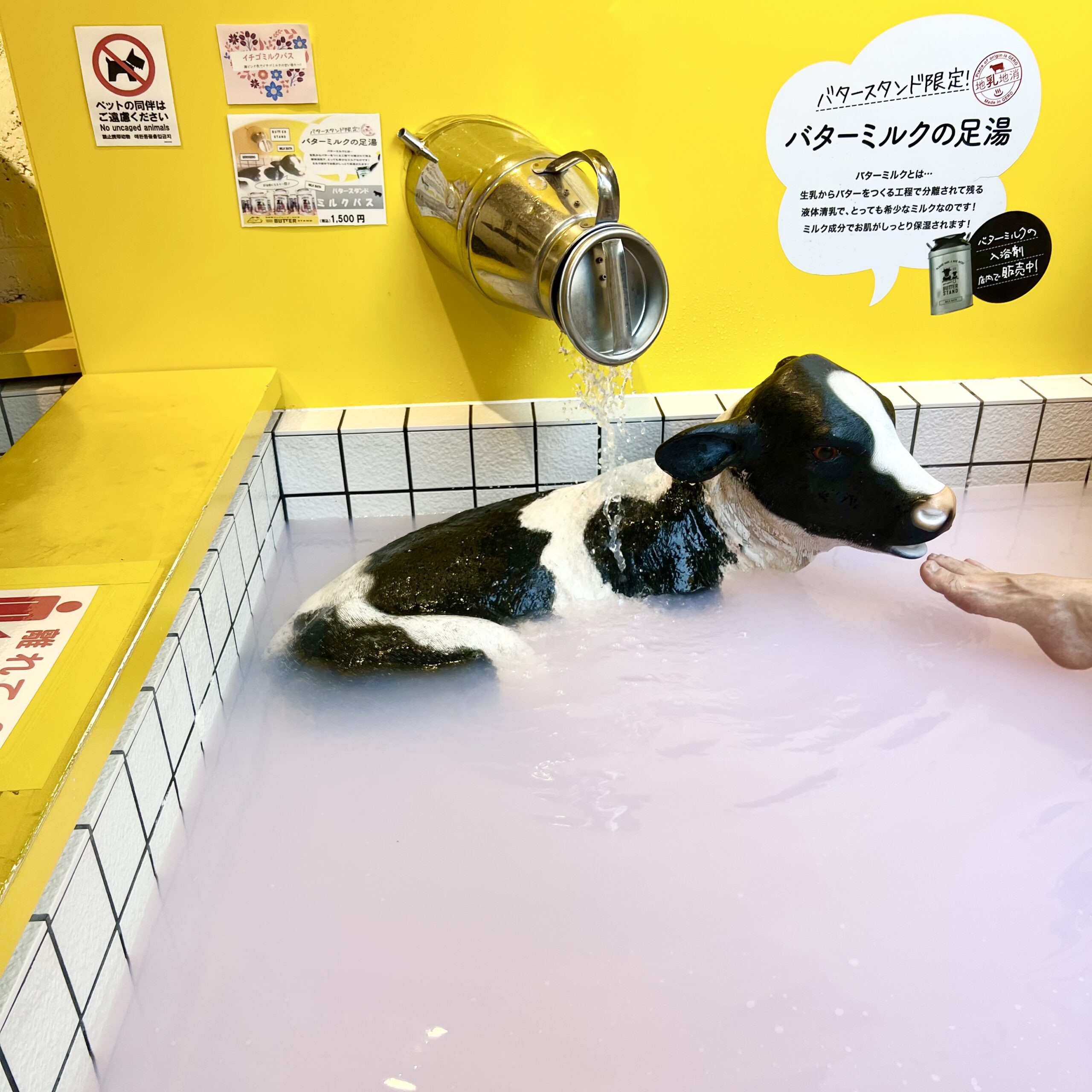 岐阜 下呂温泉街 ゲロゲロバタースタンド 足湯