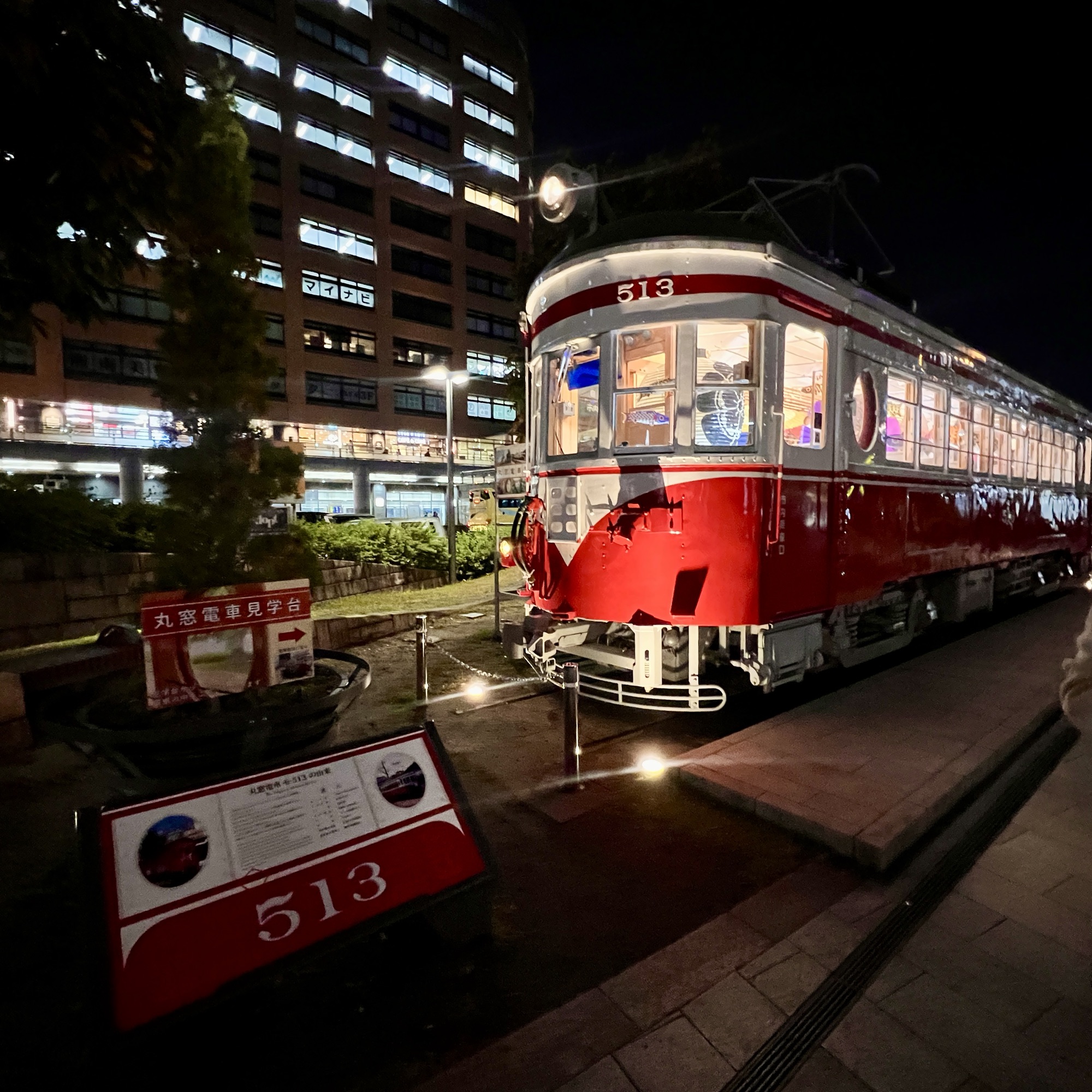 岐阜市「駅とまちを光でつなぐ杜のイルミネーション」