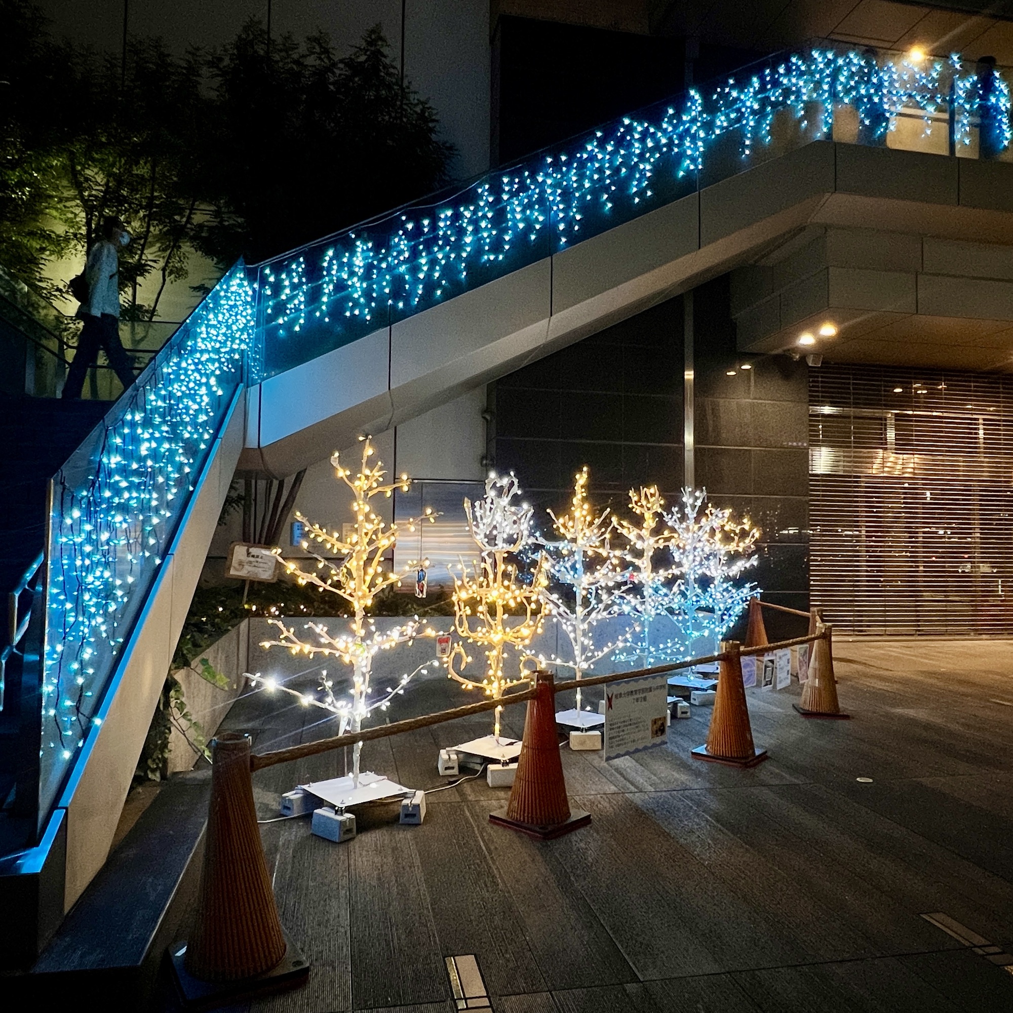 岐阜市「駅とまちを光でつなぐ杜のイルミネーション」