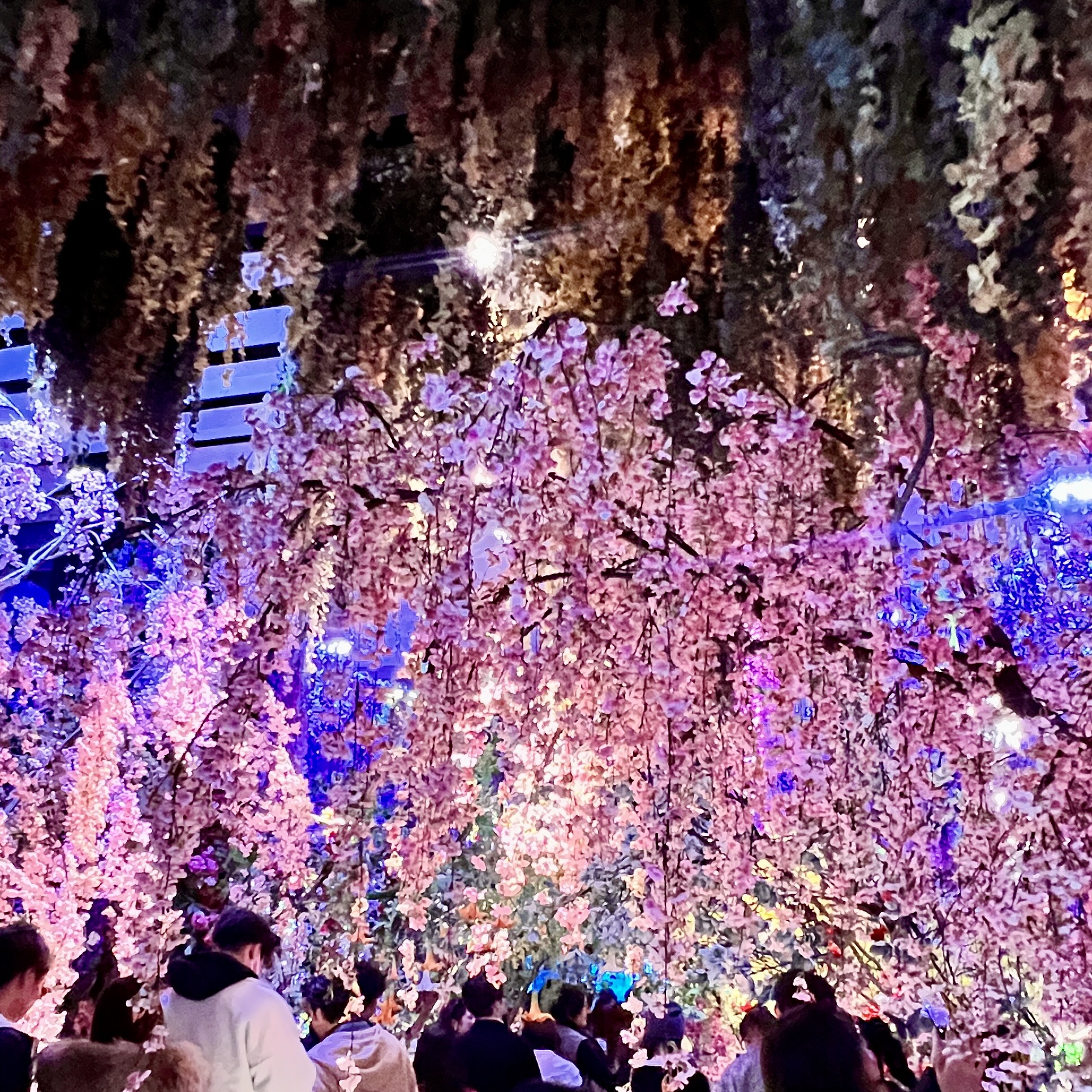 京都市京セラ美術館『蜷川実花展 with EiM：彼岸の光、此岸の影』