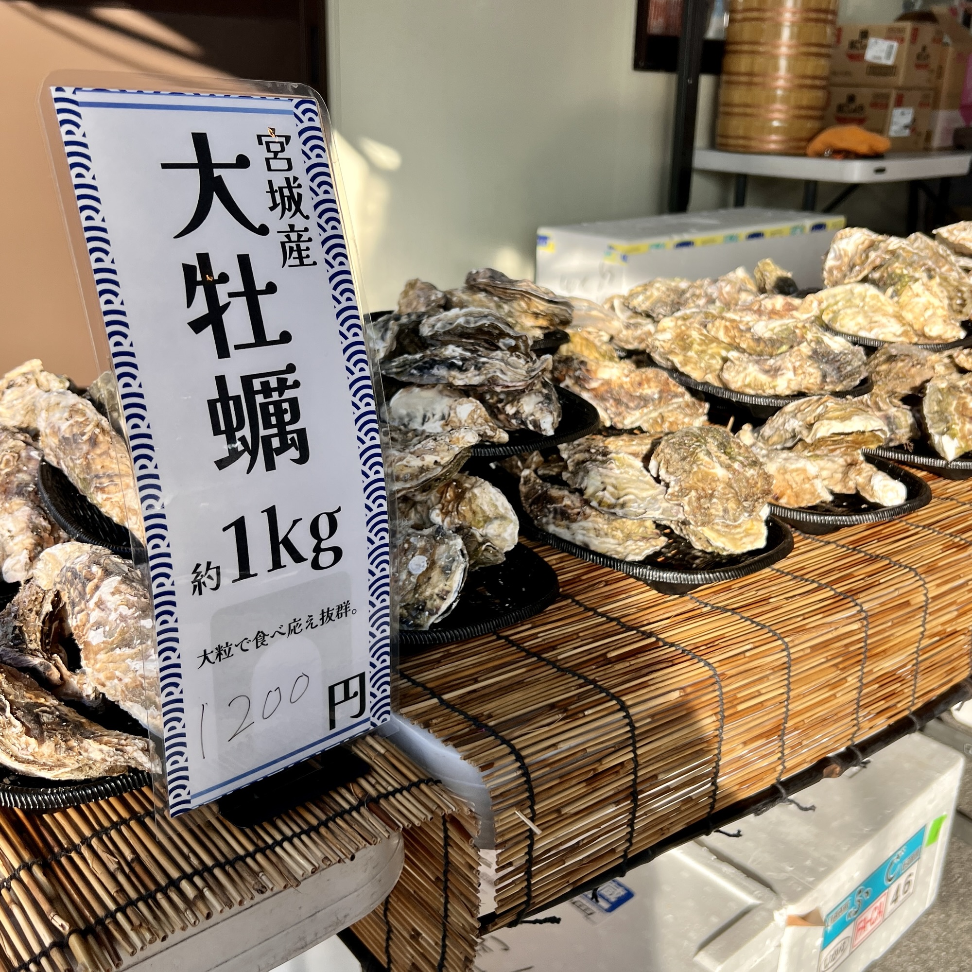 イオンモール土岐 旅する海鮮カキ小屋 カキダオレ