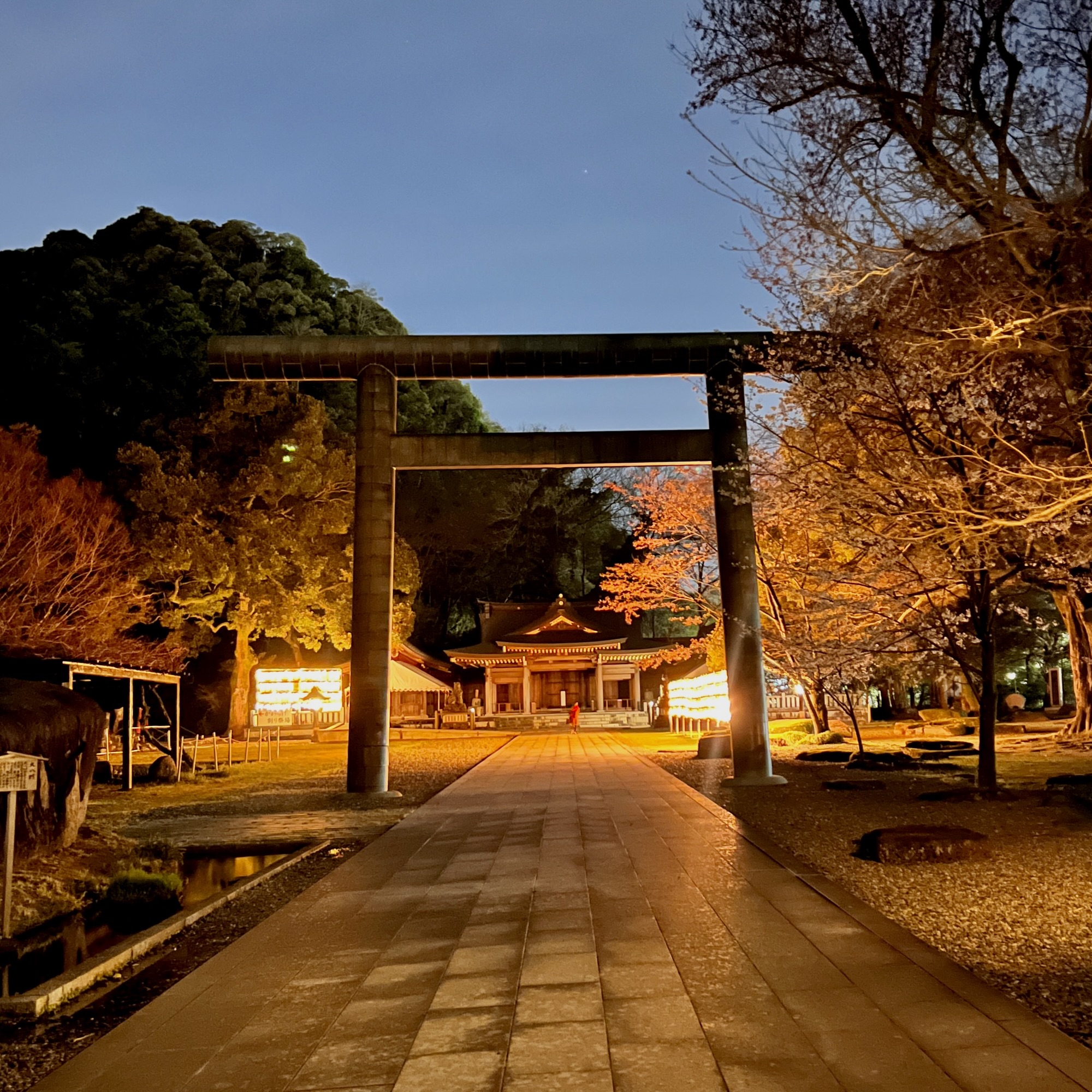 岐阜護国神社 例大祭 献灯