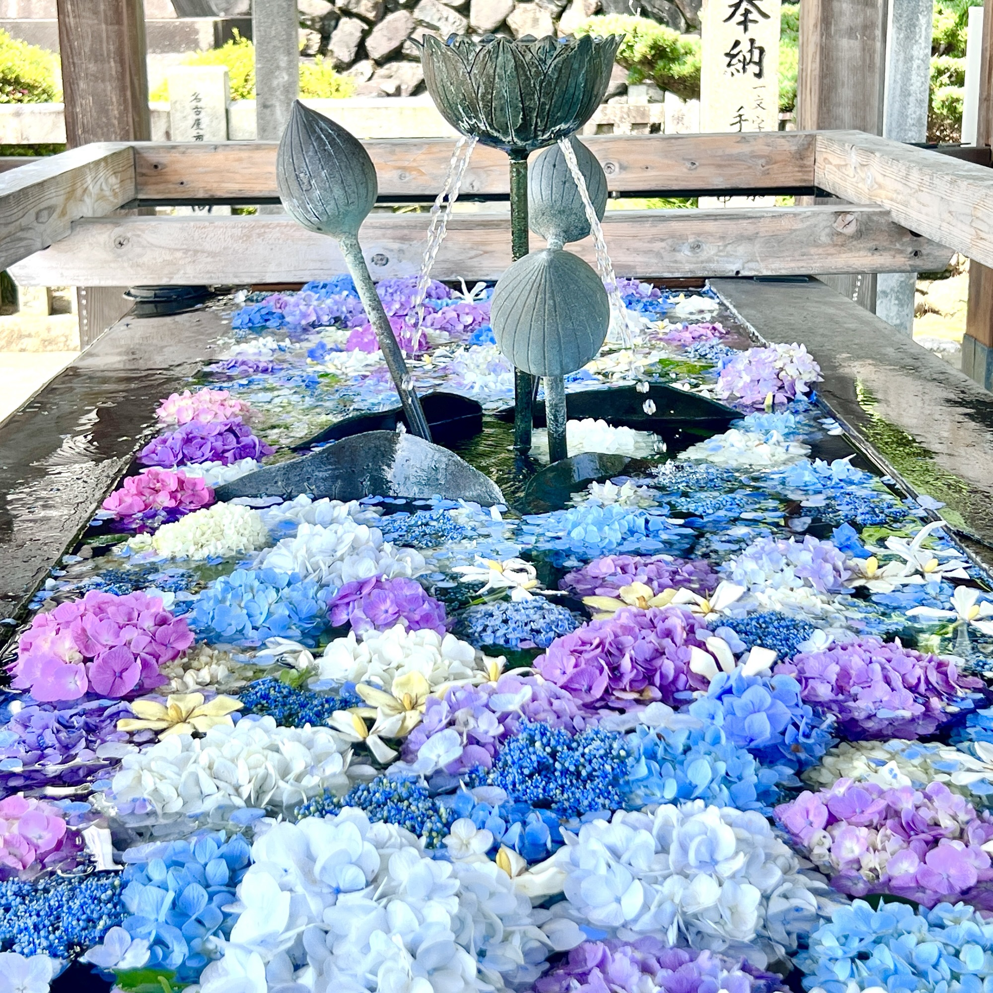 犬山市 成田山名古屋別院 大聖寺 花手水