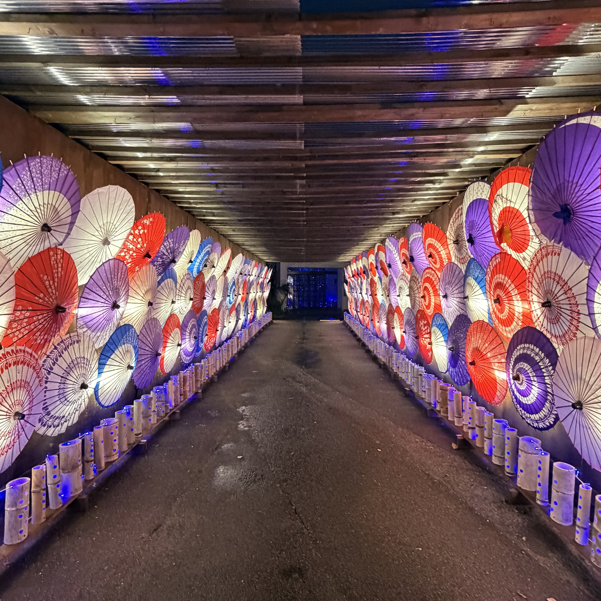 関ヶ原ウォーランド 和傘物語 ライトアップ