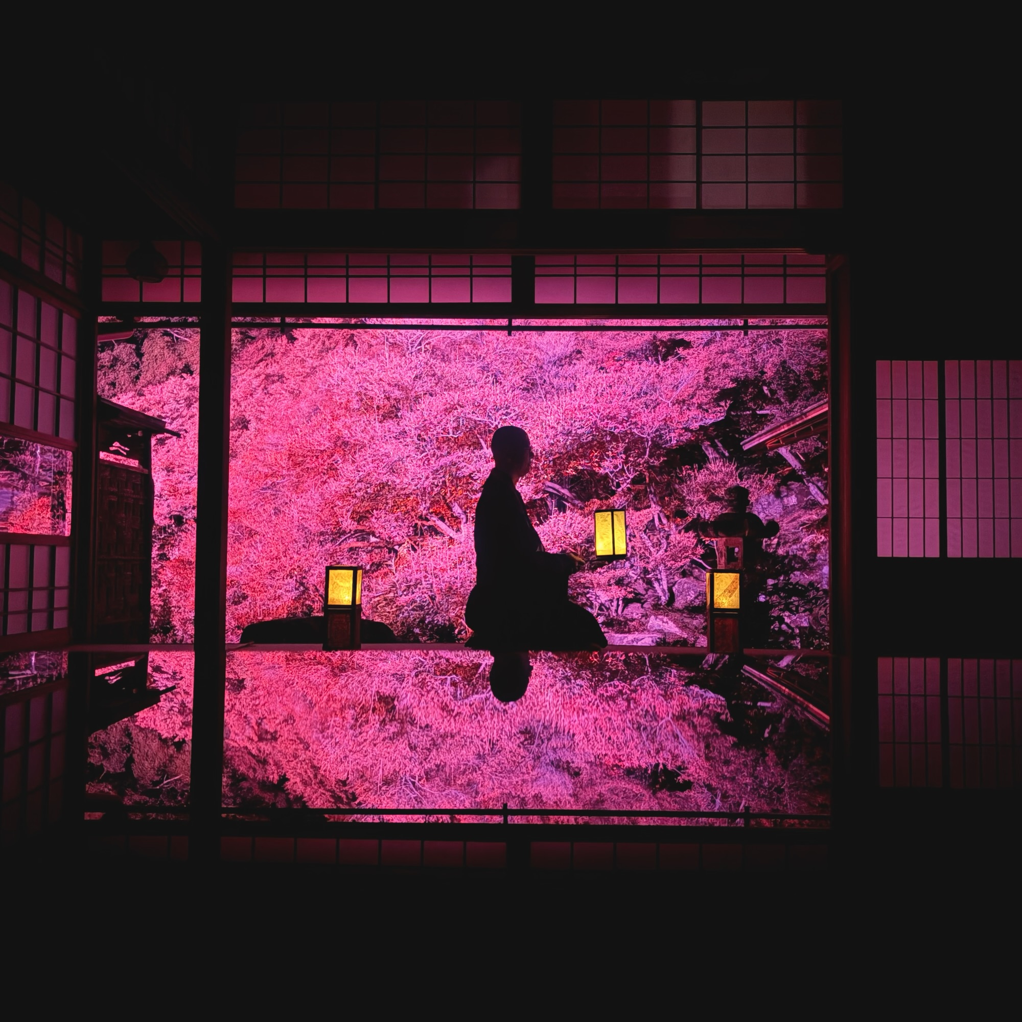 山県市東光寺 秋の特別拝観ライトアップ