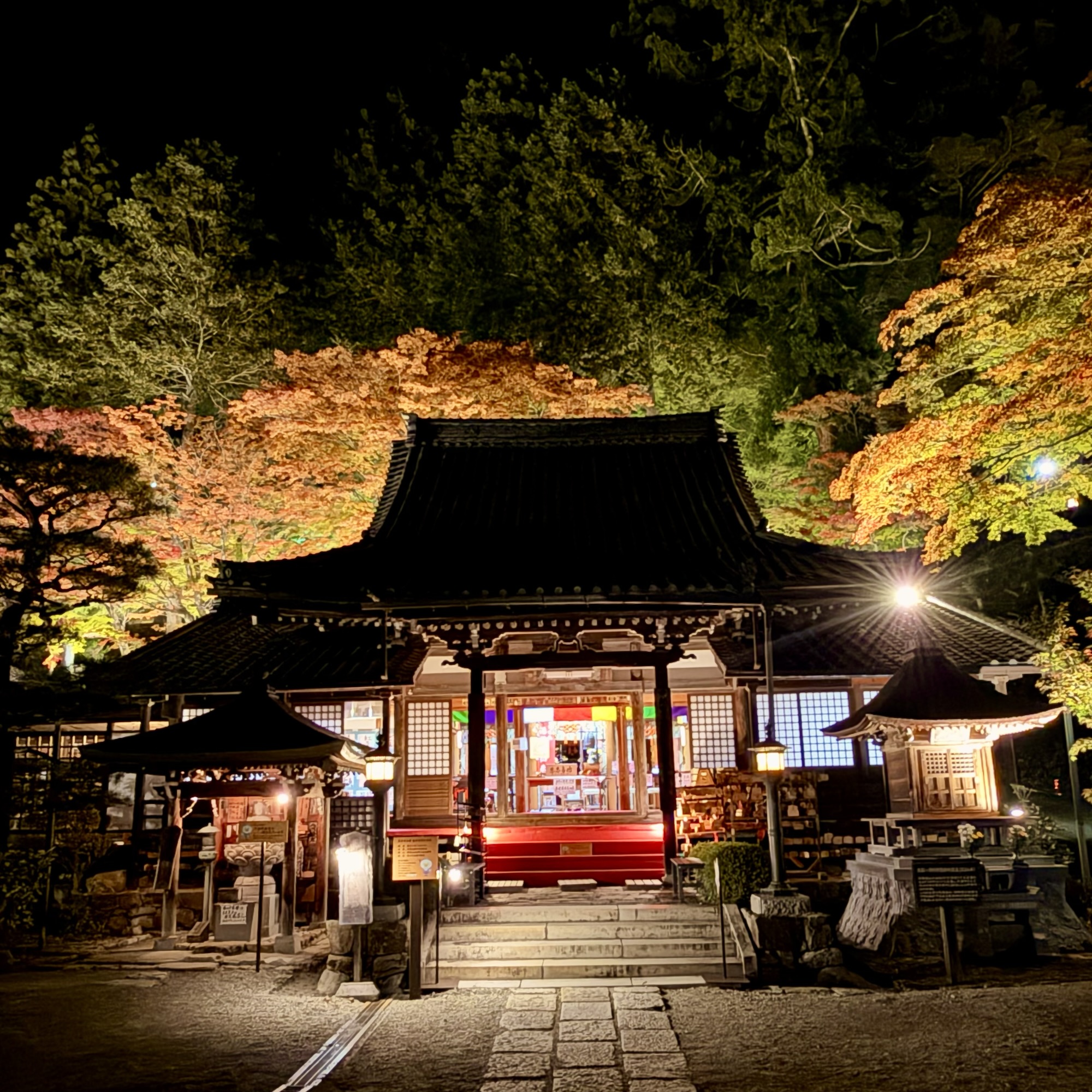 下呂温泉街 温泉寺 紅葉ライトアップ