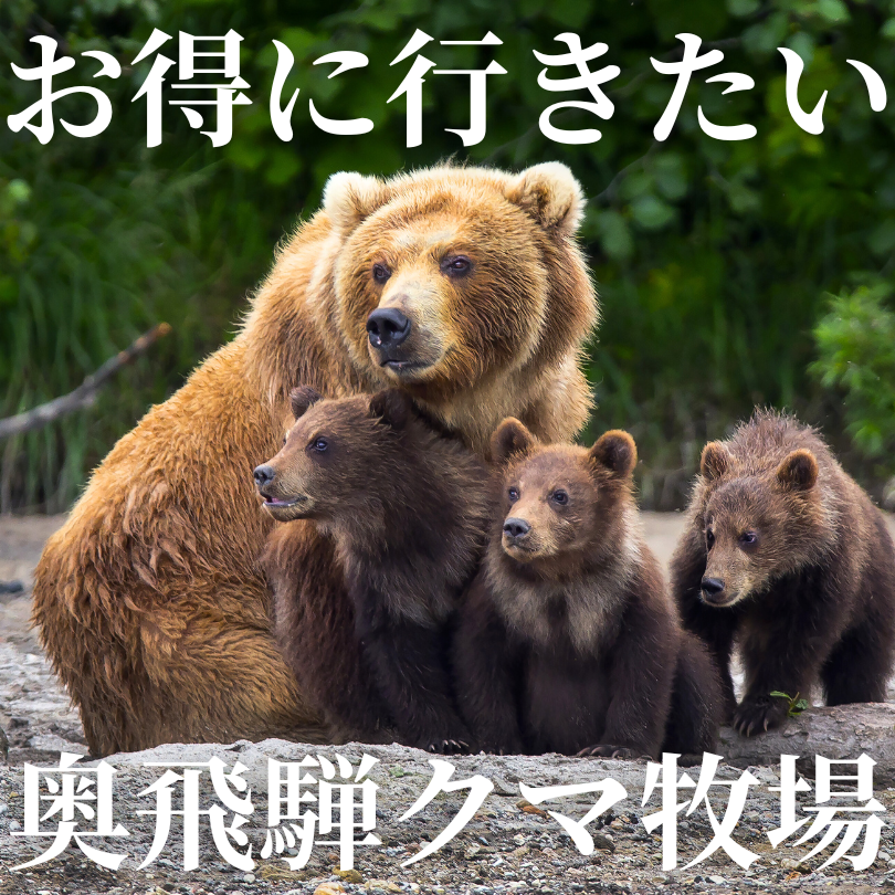 飛騨市 奥飛騨クマ牧場