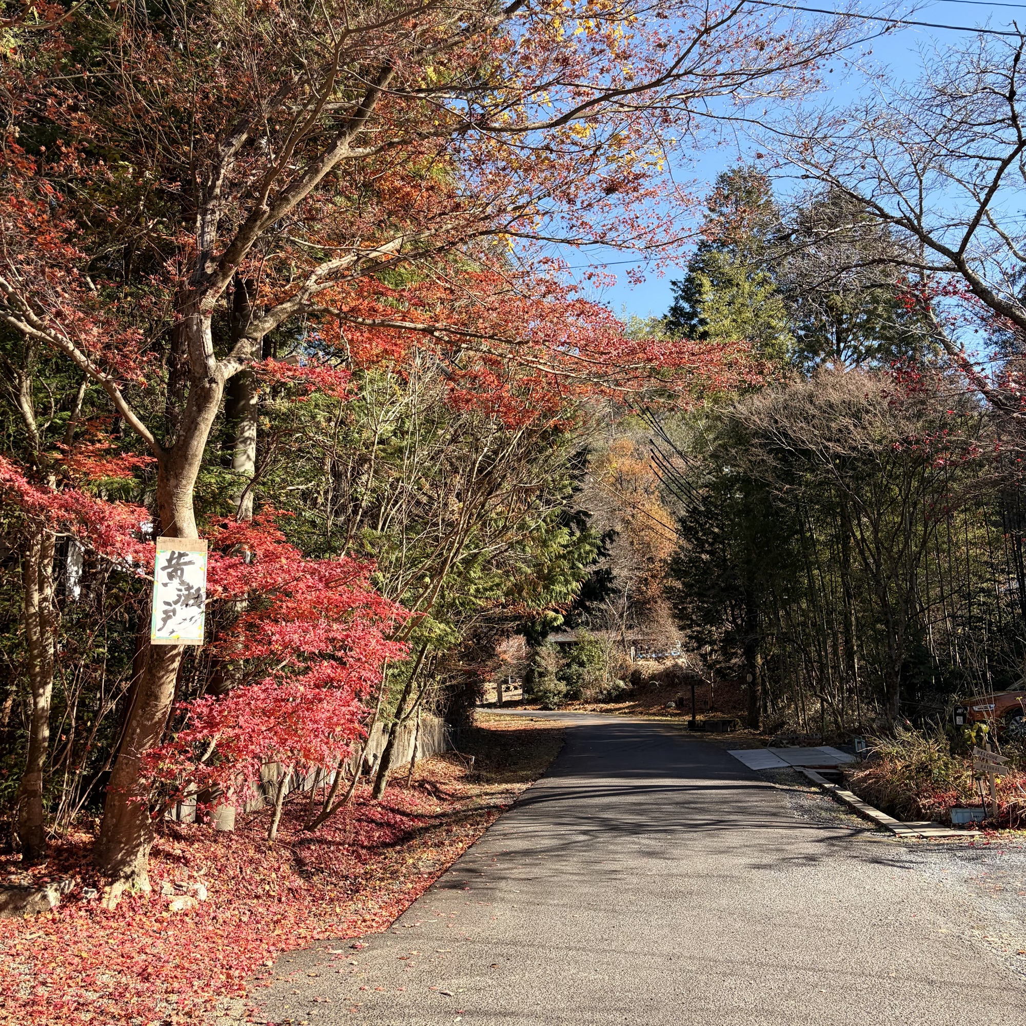 土岐市 Cafe＆Gallery watowa　