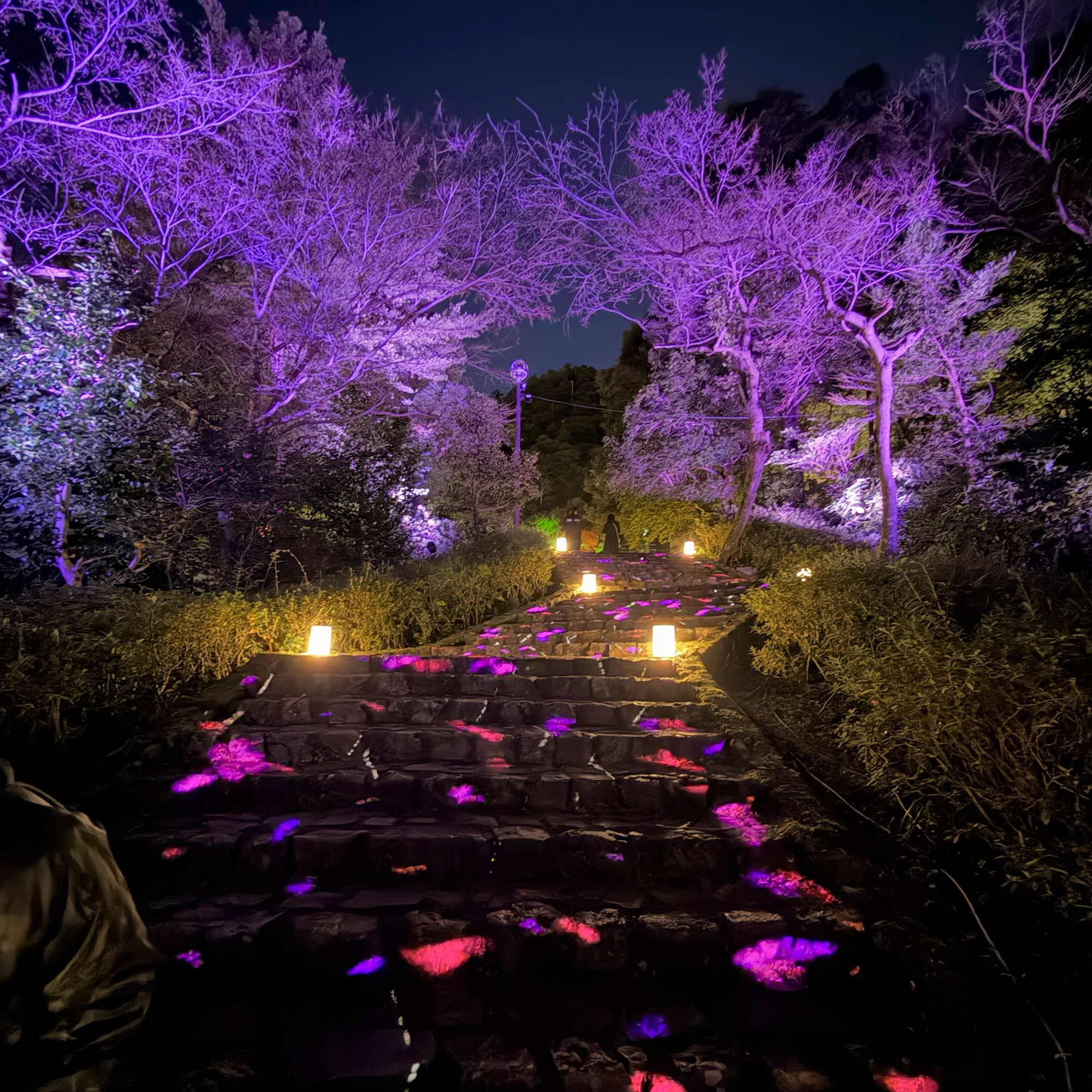 岐阜市 ぎふ灯り物語2026