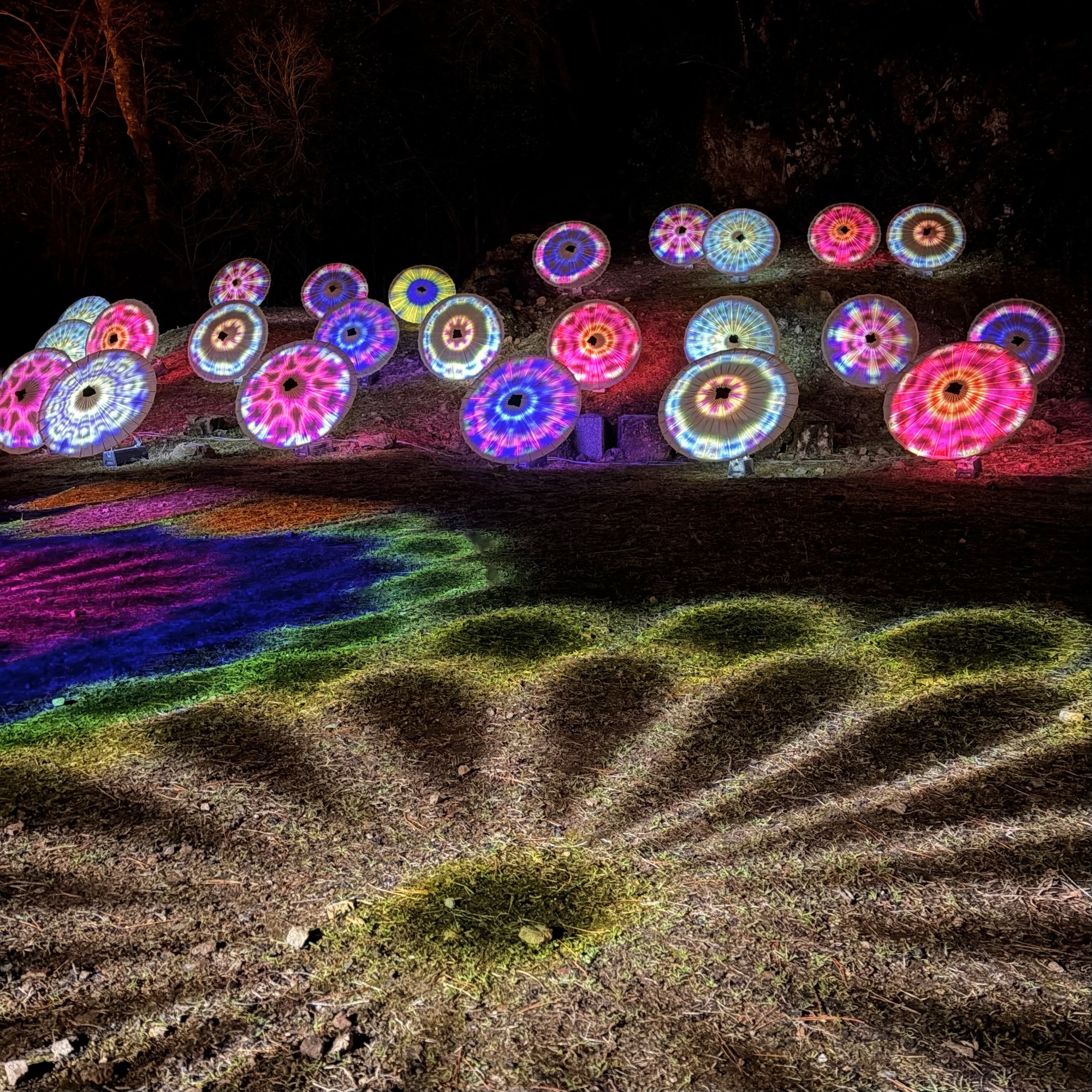 岐阜市 ぎふ灯り物語2026