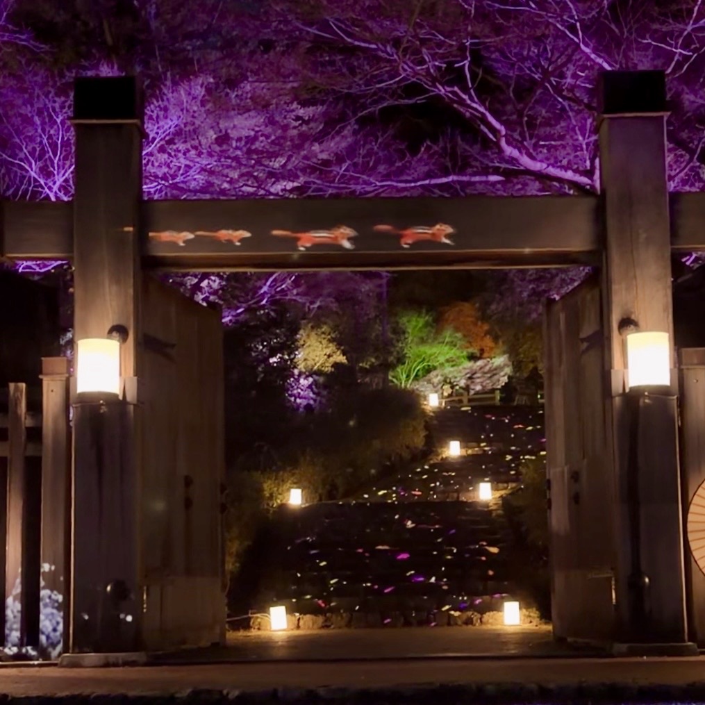 岐阜市 ぎふ灯り物語2025