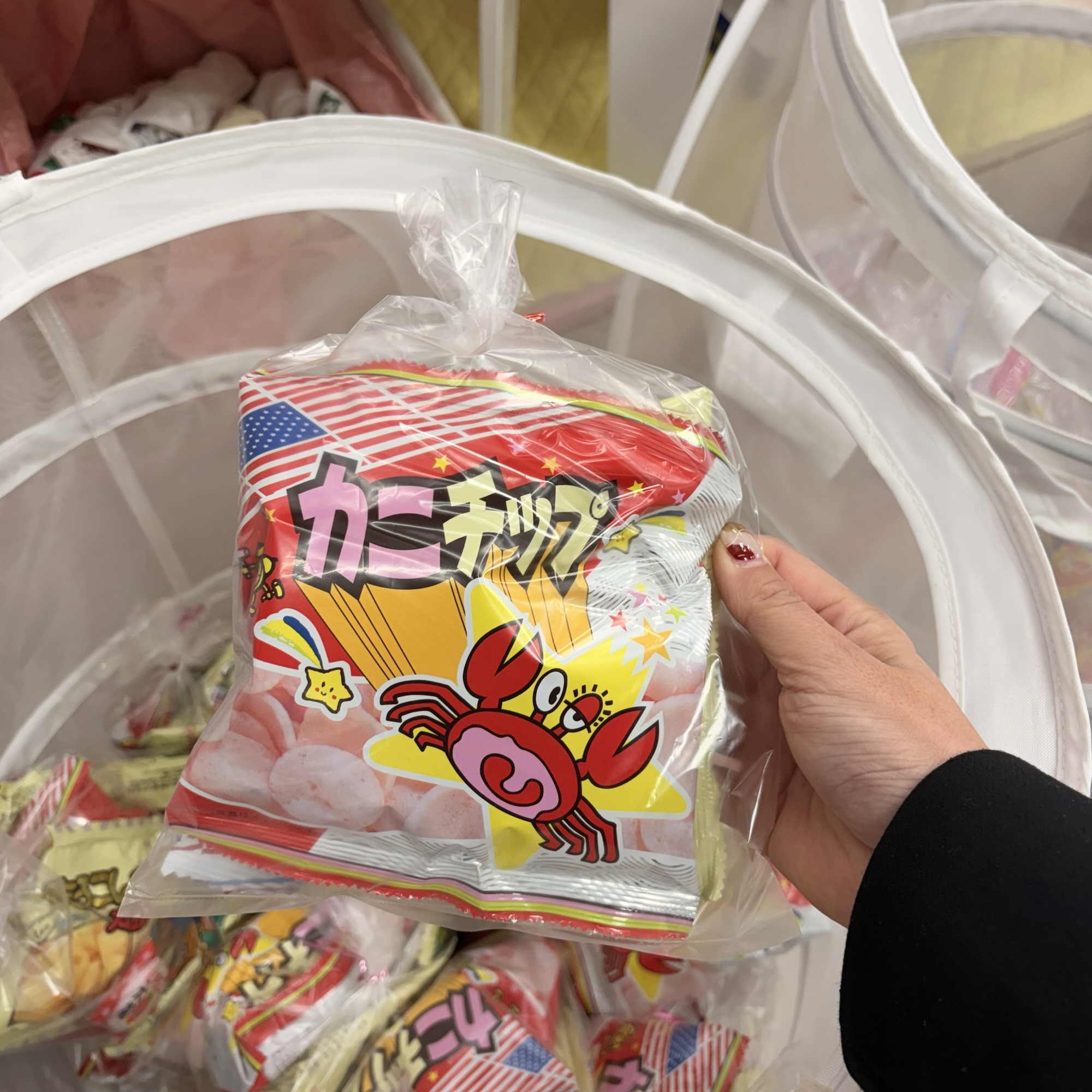 岐阜市 人形の松井