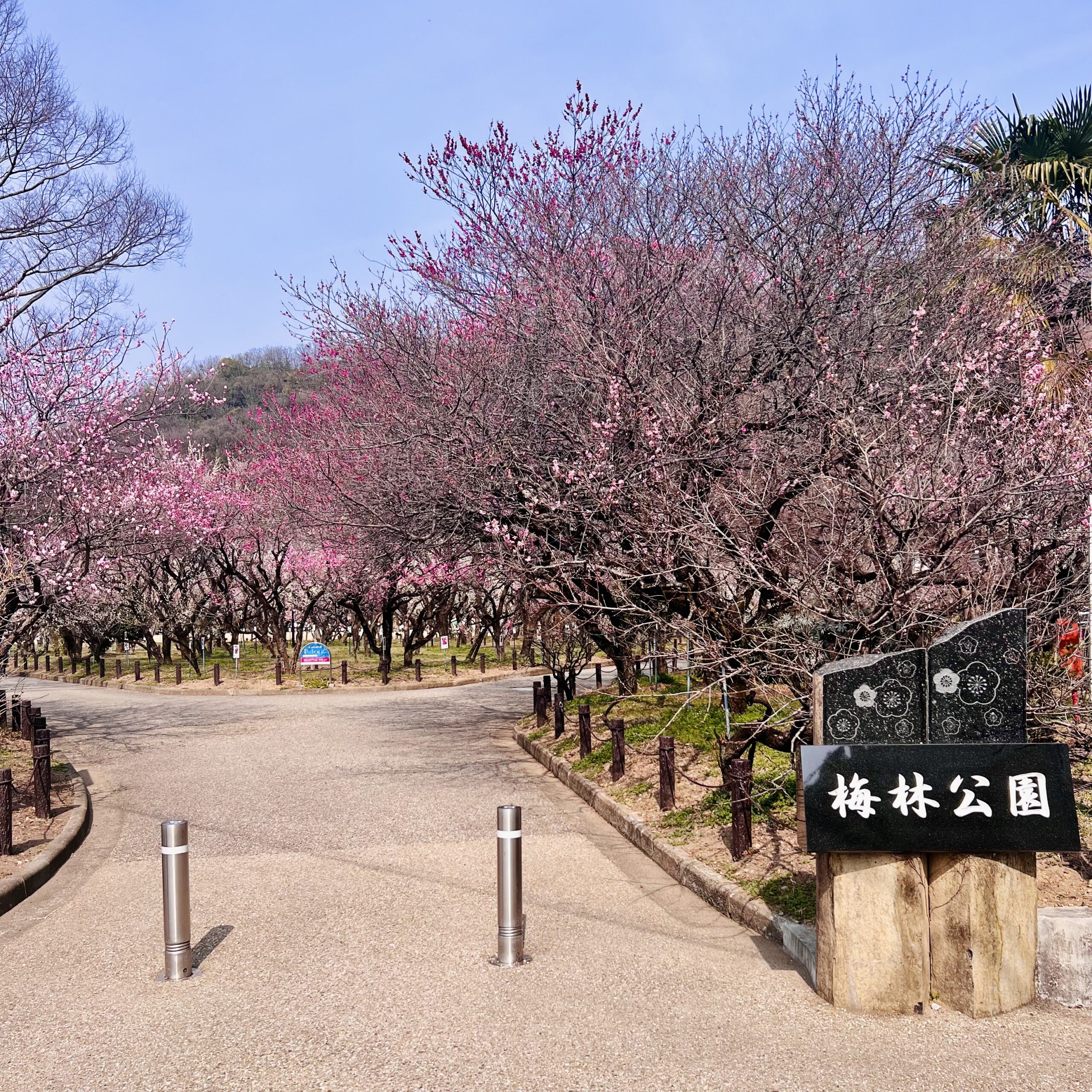 岐阜市 梅林公園