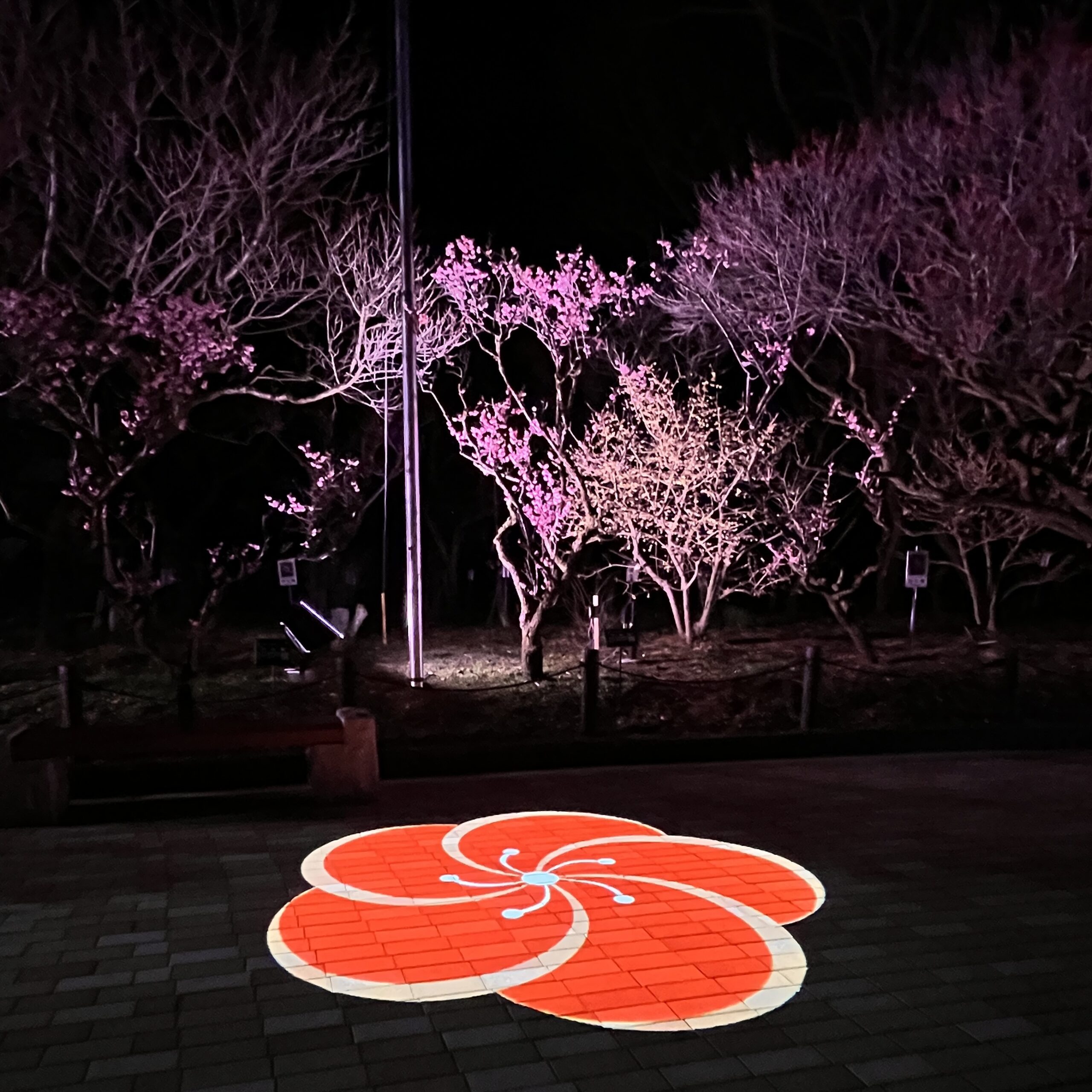 岐阜市 梅林公園 ライトアップ