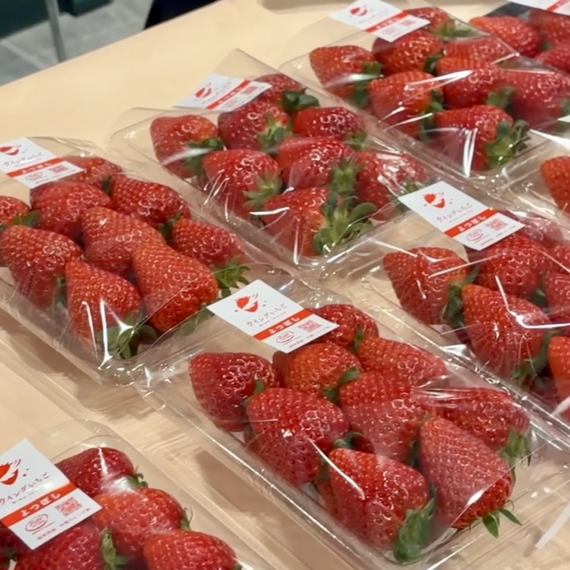 岐阜県　県庁マルシェ いちご