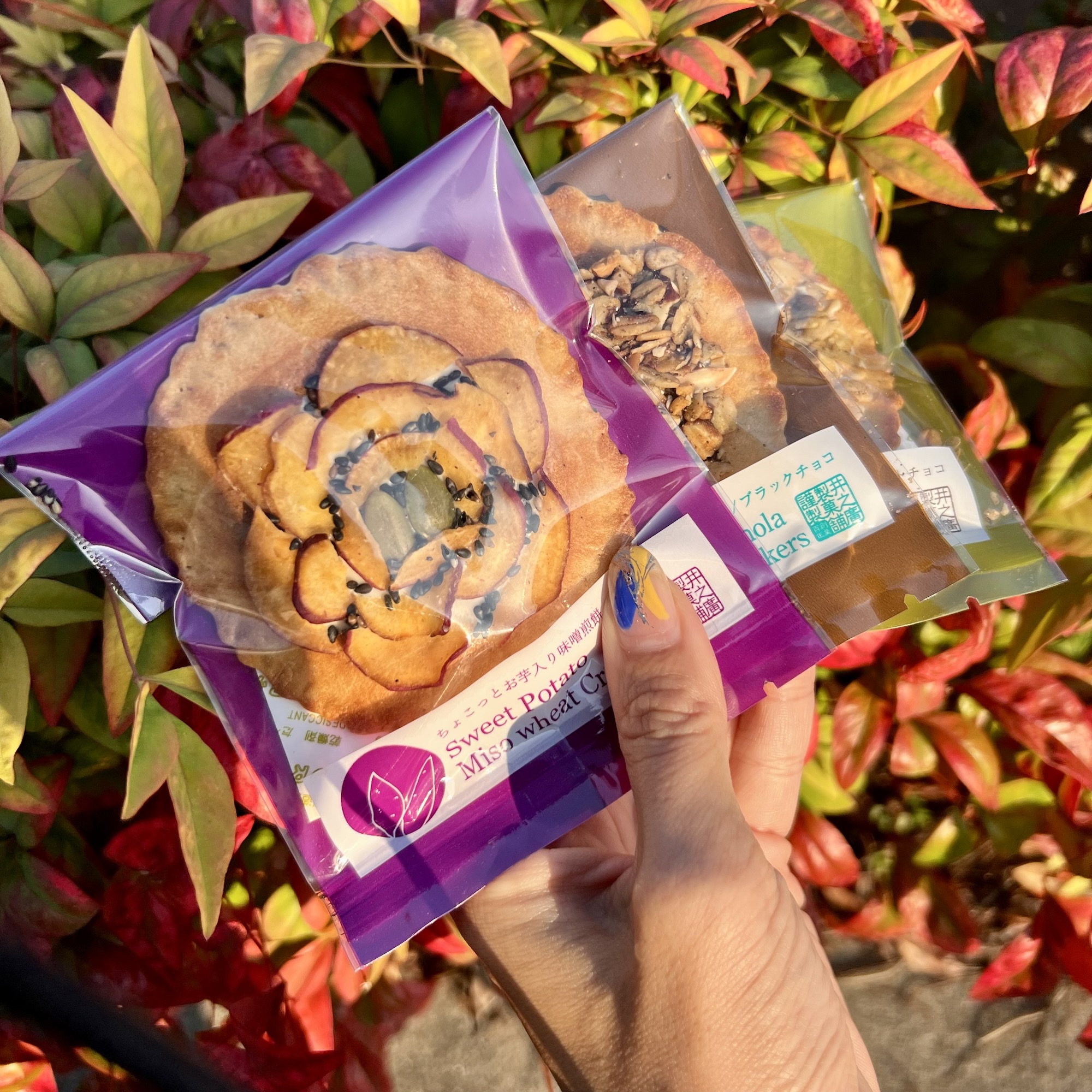 飛騨市 味噌煎餅本舗 井之廣