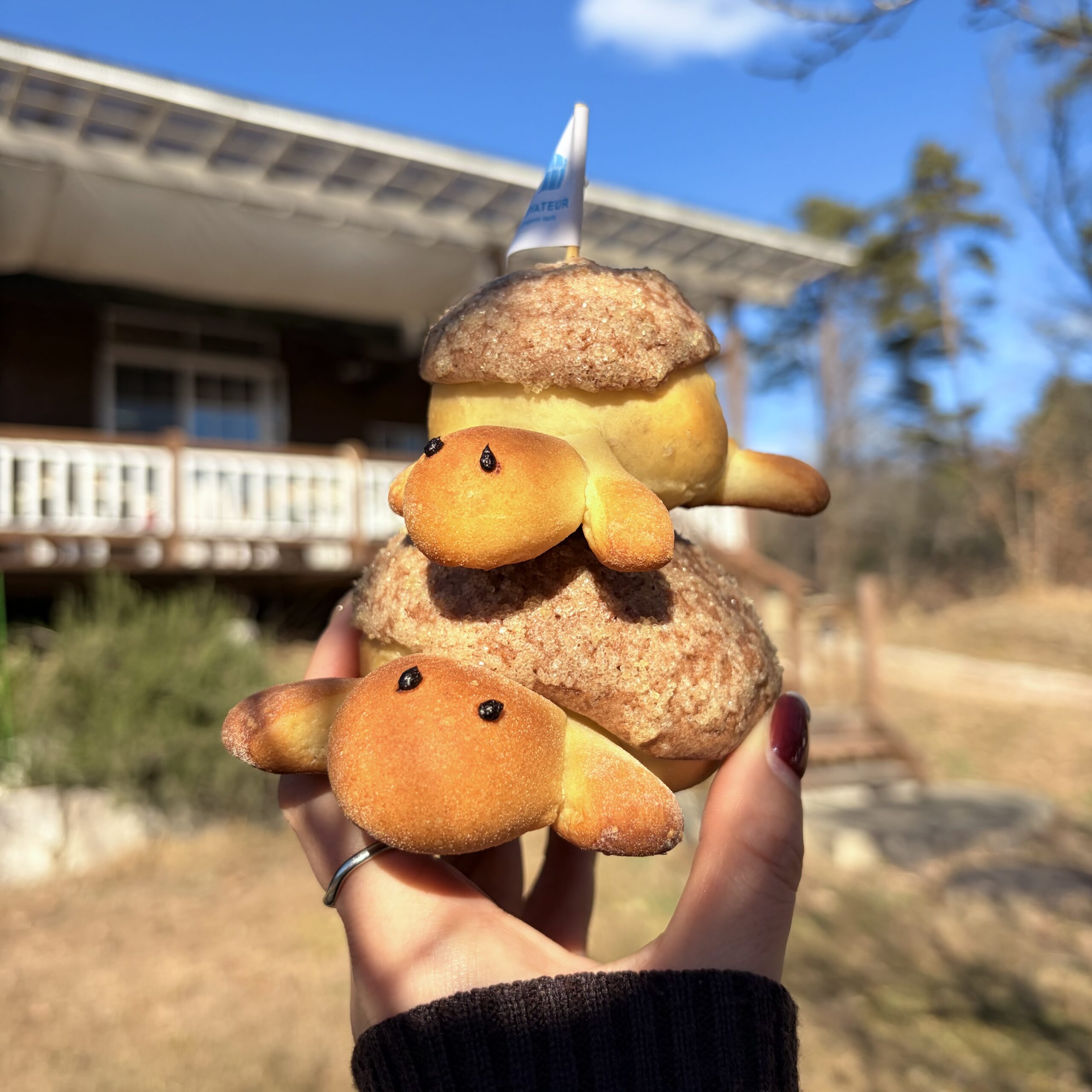 中津川市 キュルティヴァトゥール パン屋
