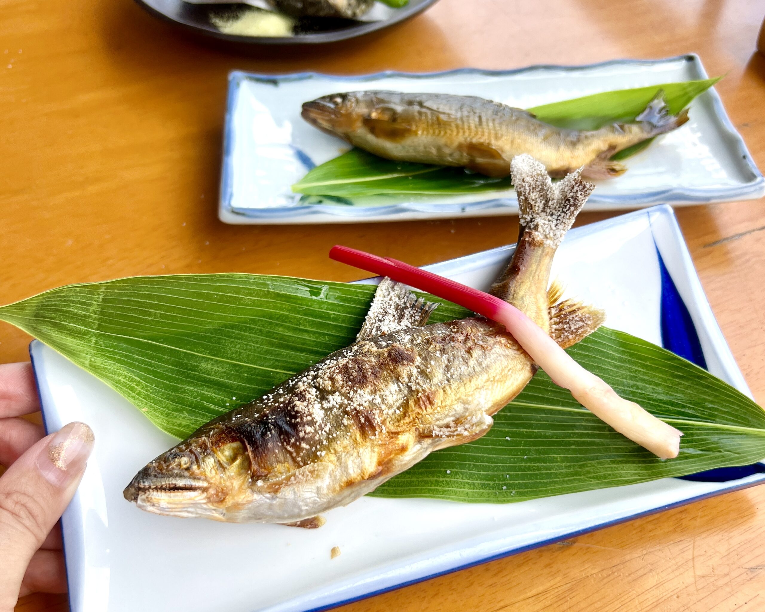 郡上市 郡上八幡やな 鮎料理