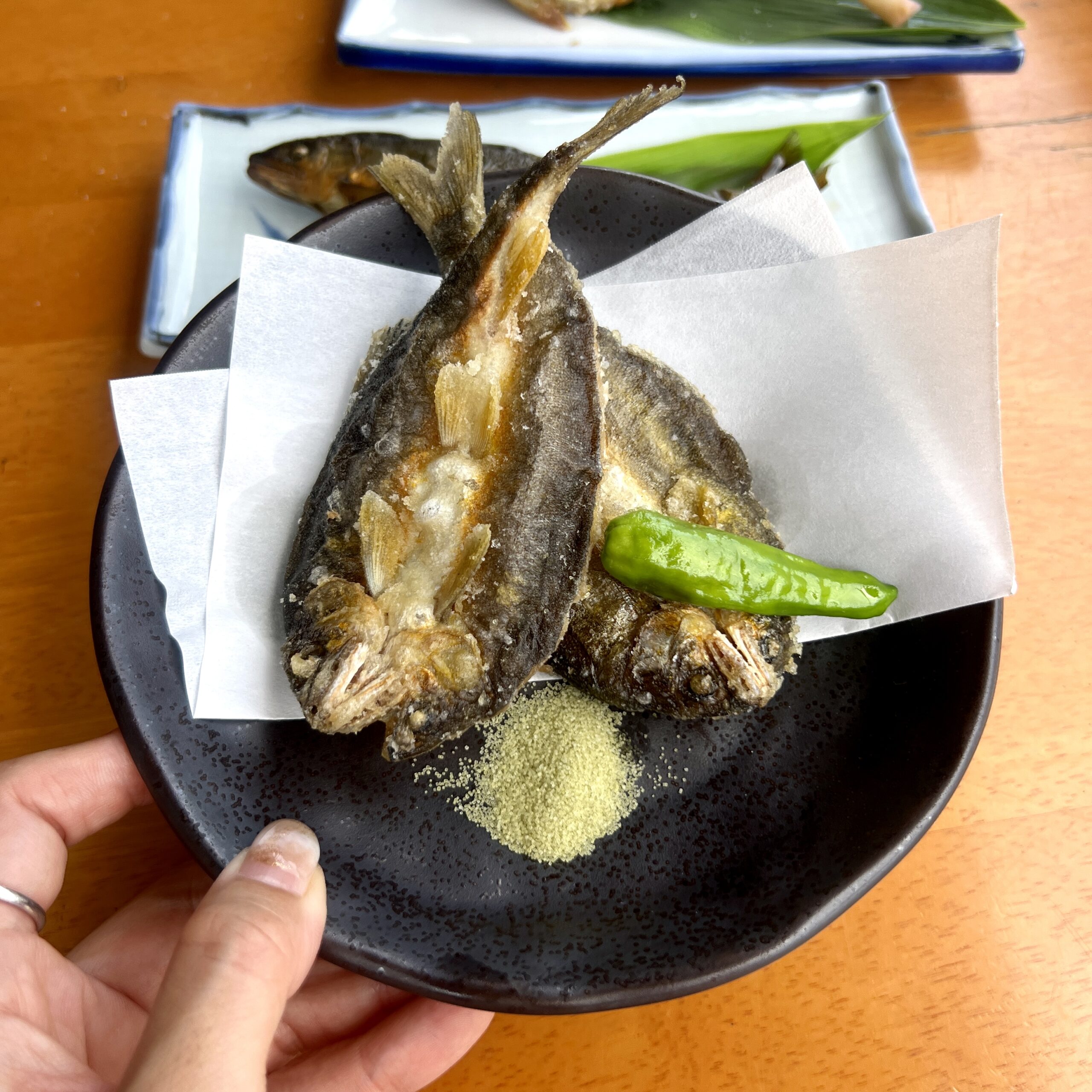 郡上市 郡上八幡やな 鮎料理
