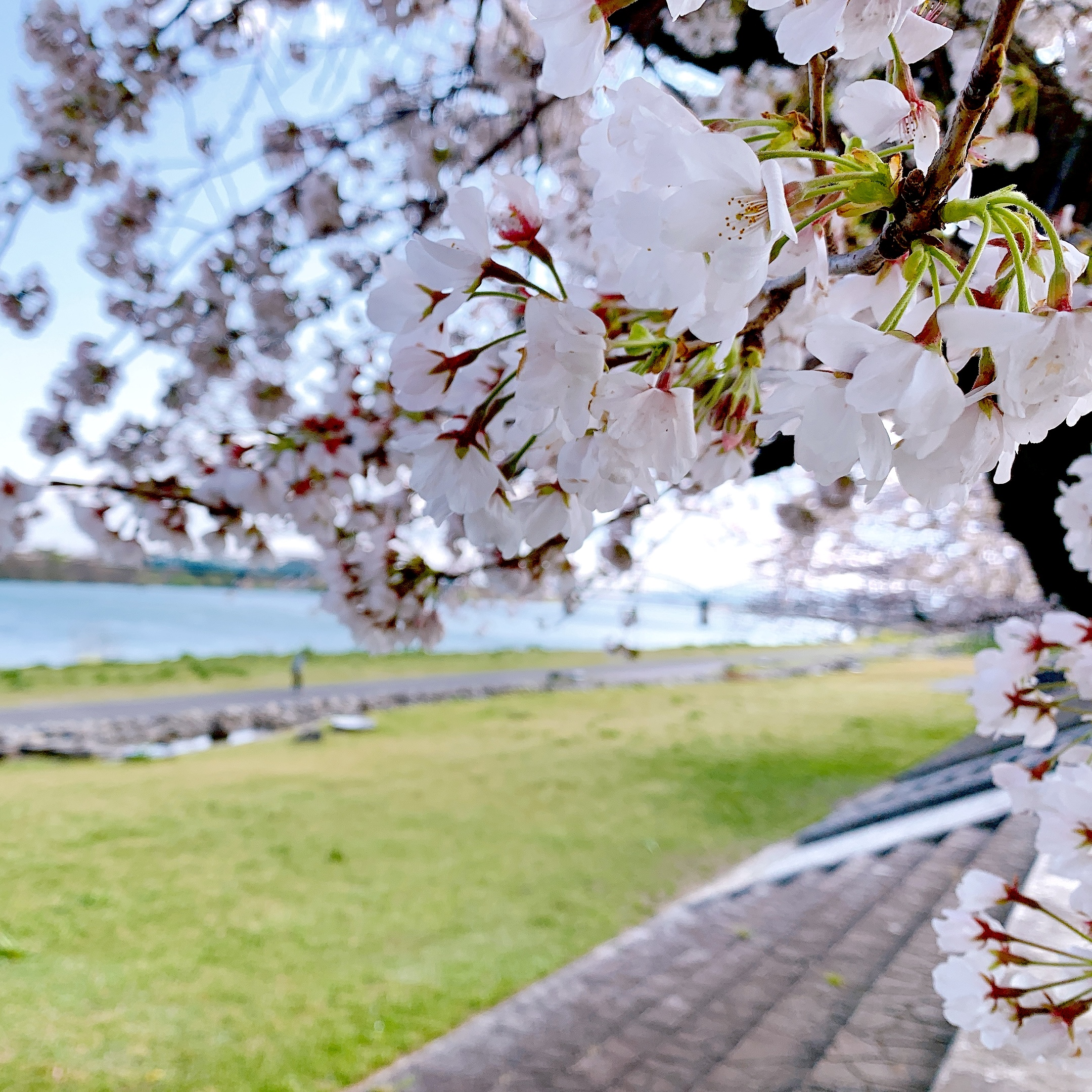 笠松町 笠松春まつり