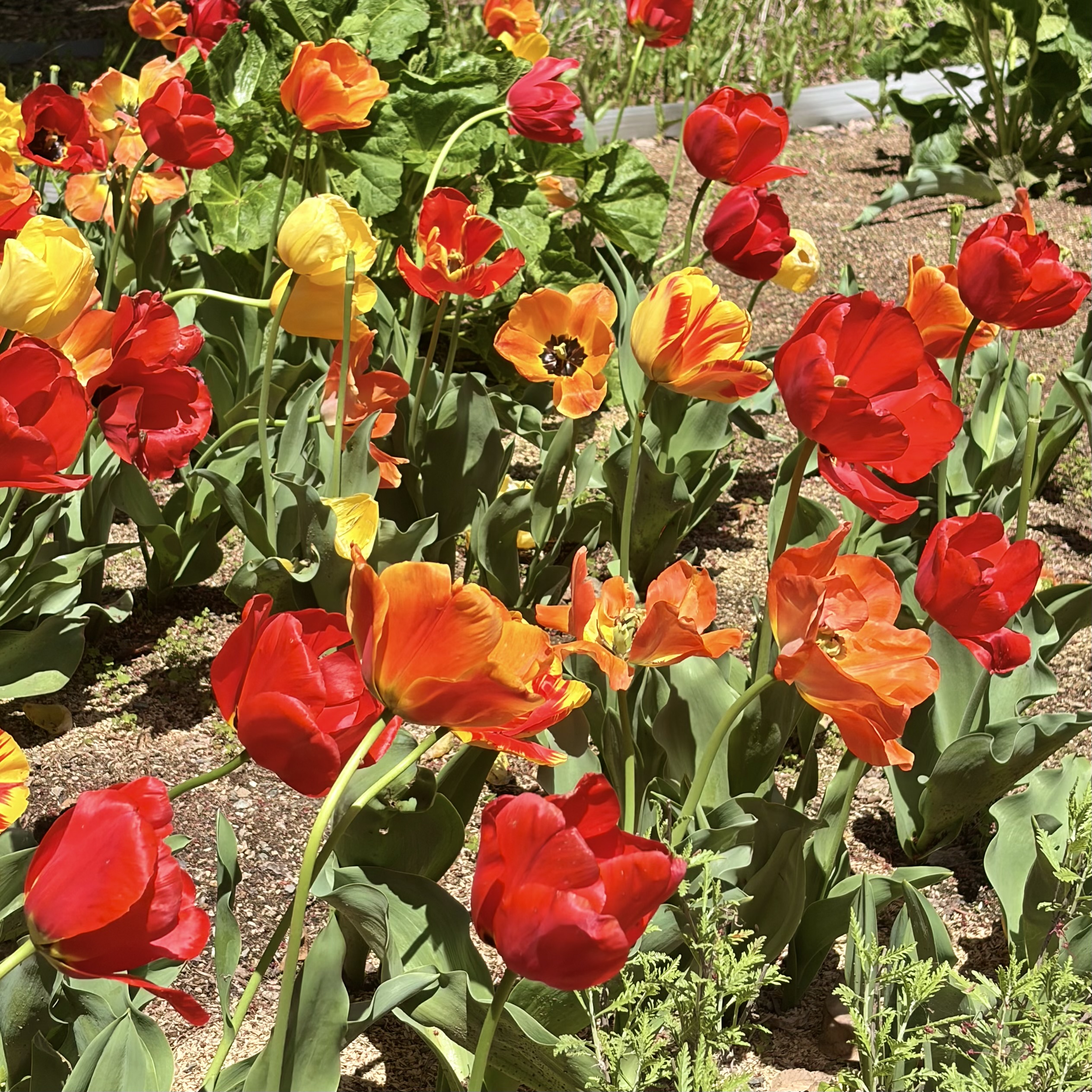 海津市 国営木曽三川公園 アクアワールド水郷パークセンター