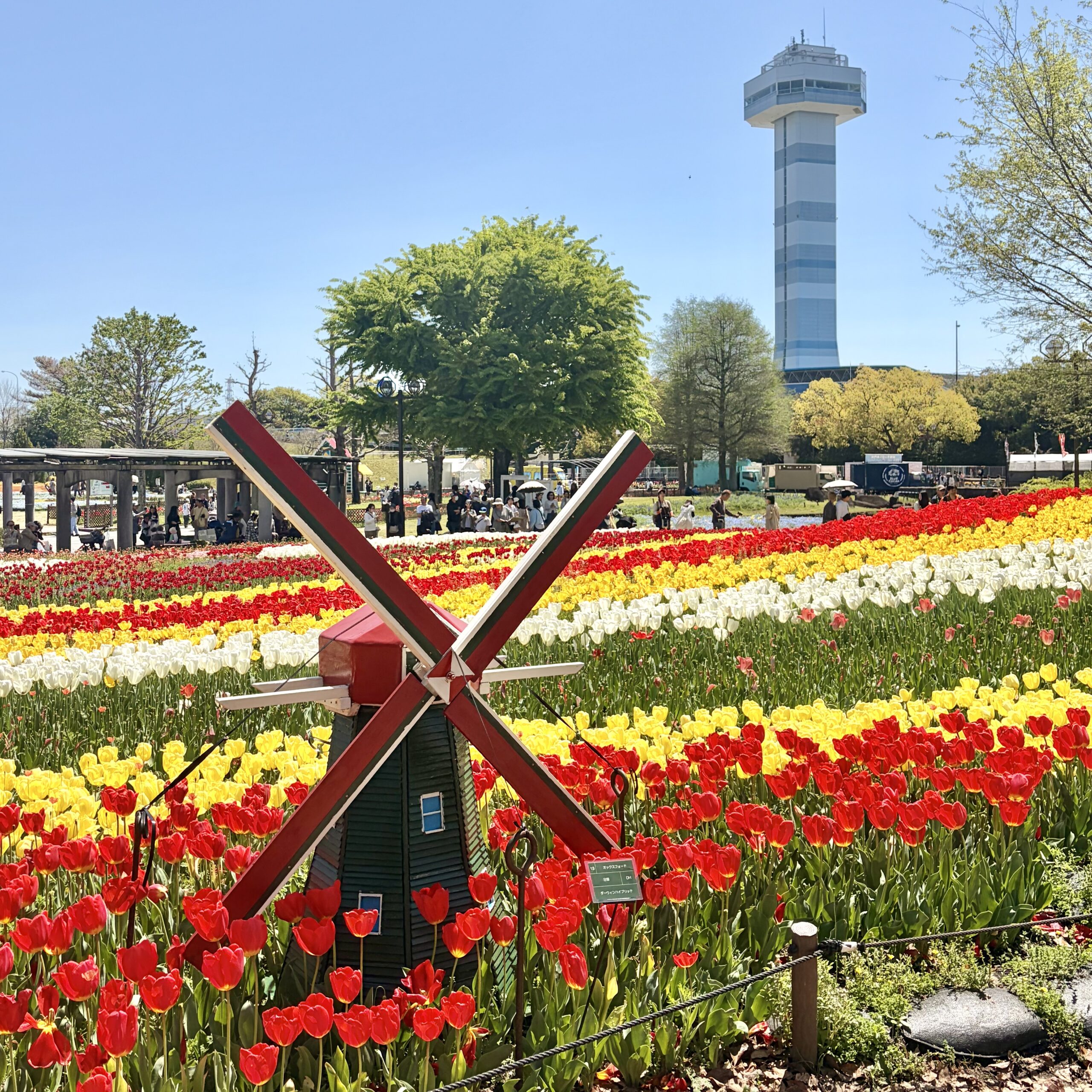 海津市 国営木曽三川公園 チューリップ祭り