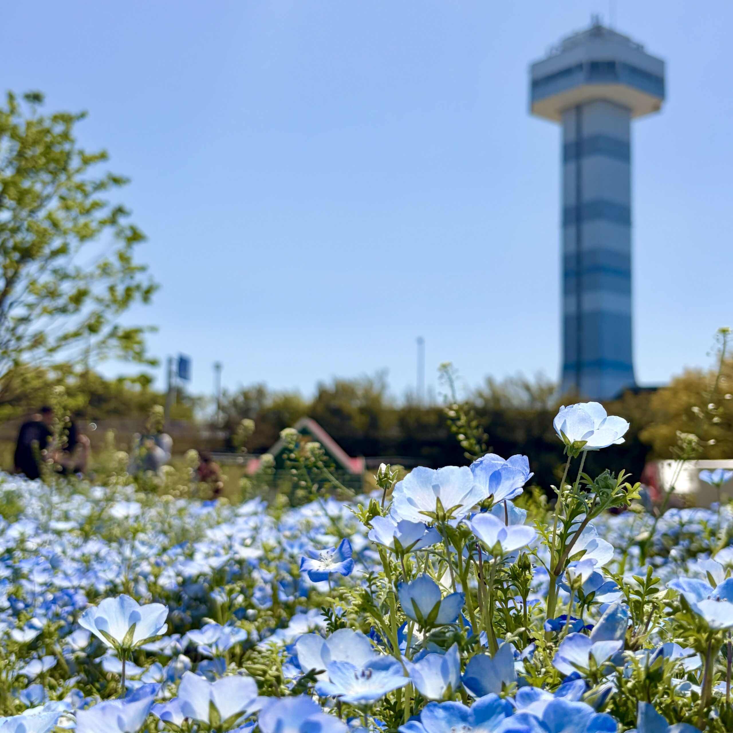 海津市 国営木曽三川公園 木曽三川公園センター