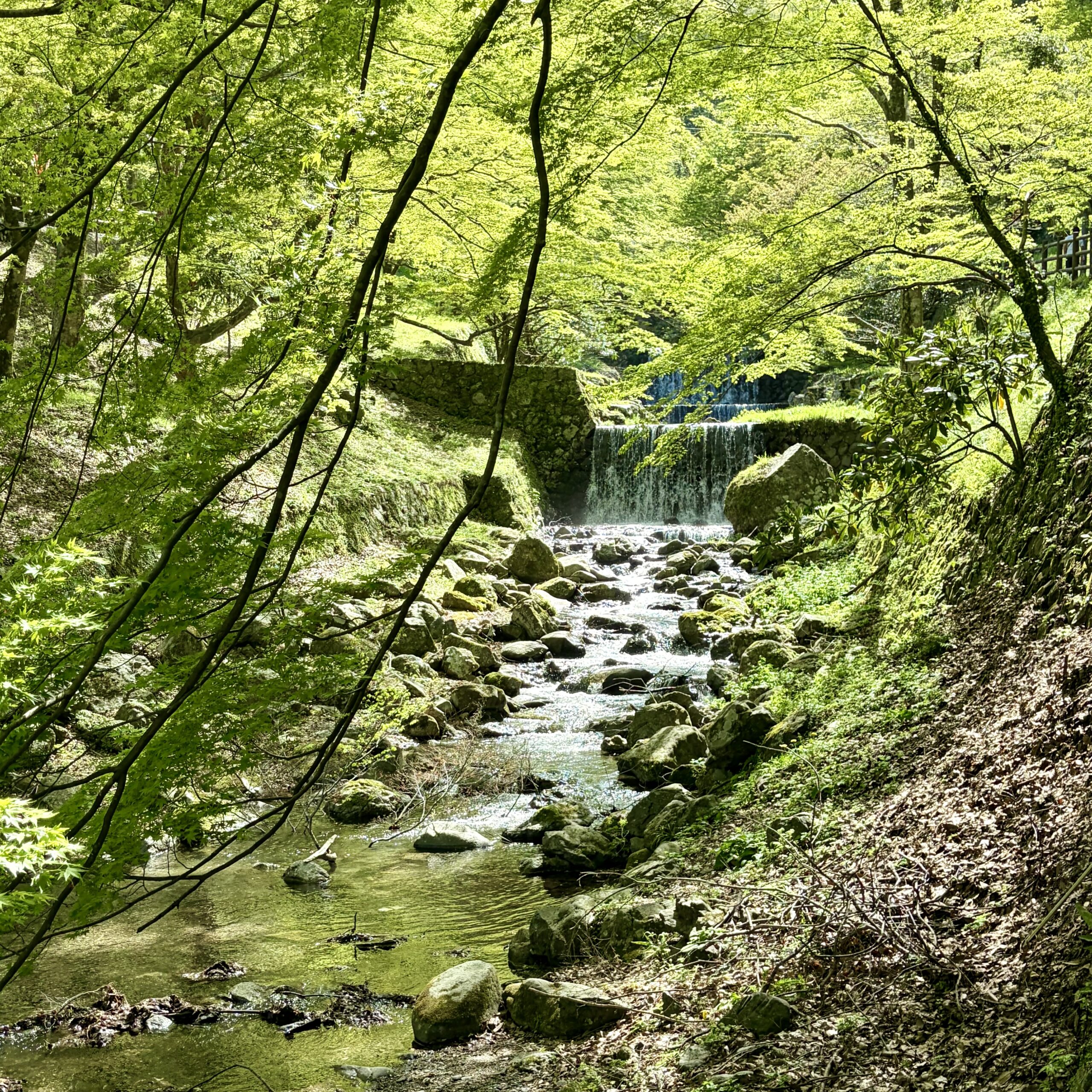 養老町 養老の滝