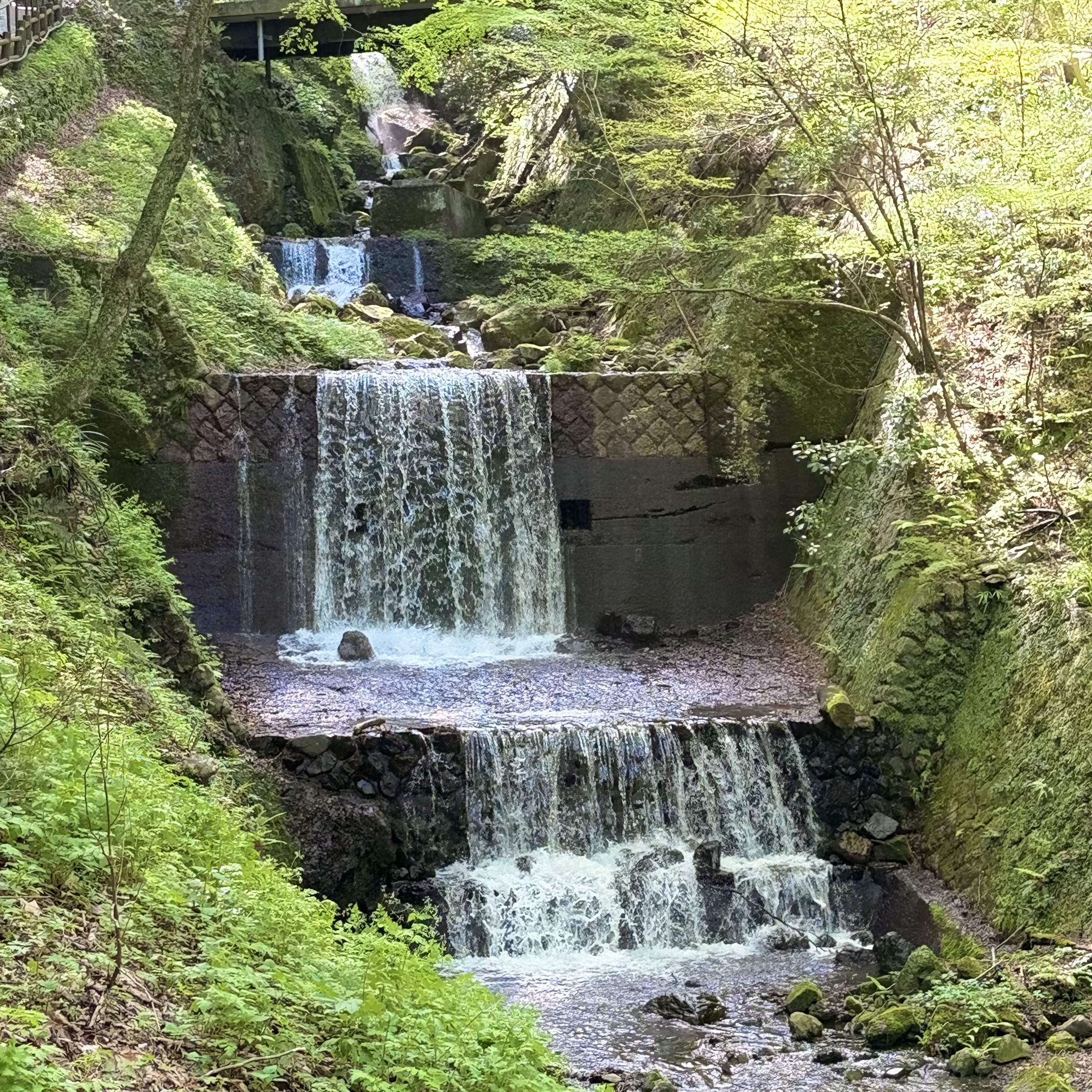 養老町 養老の滝
