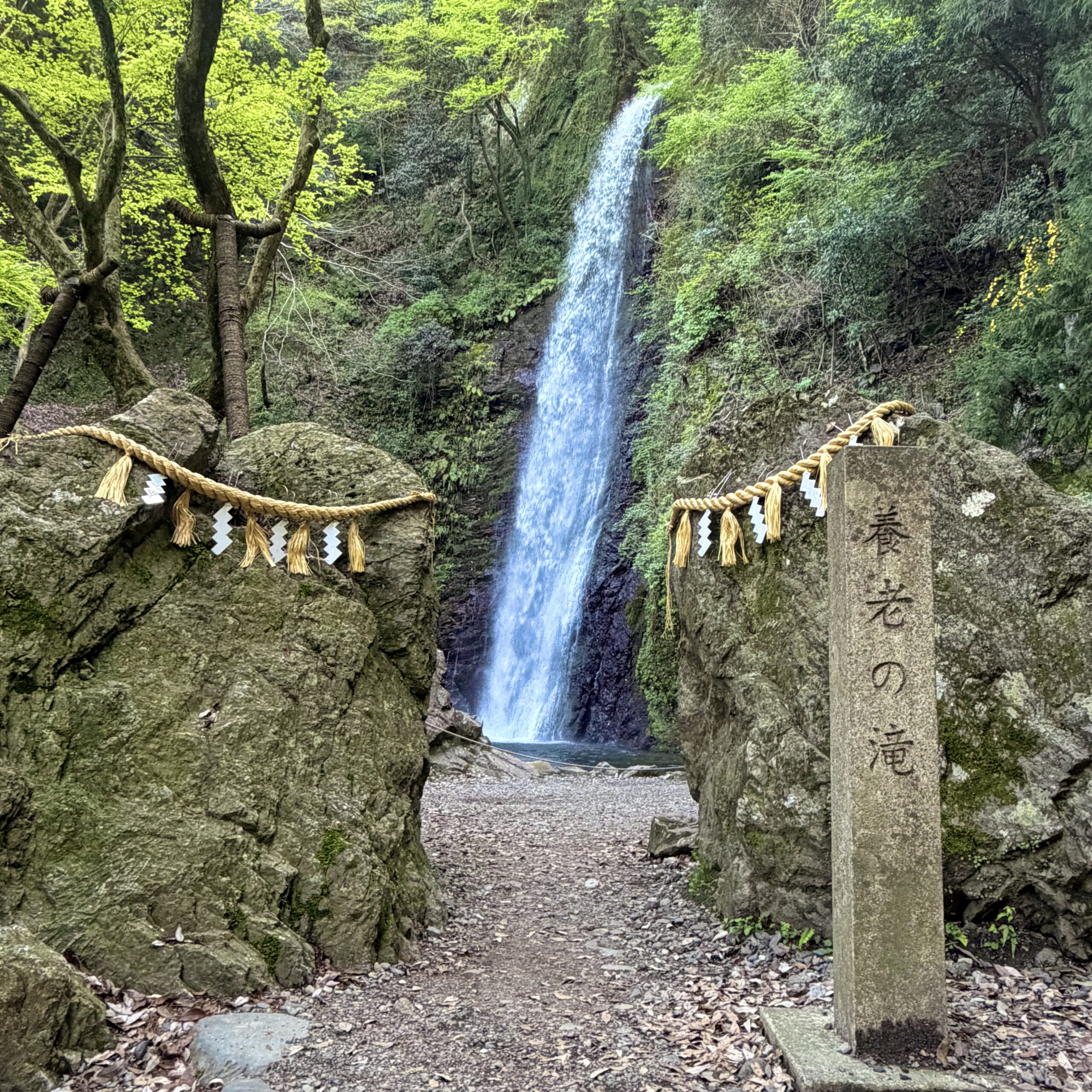 養老町 養老の滝