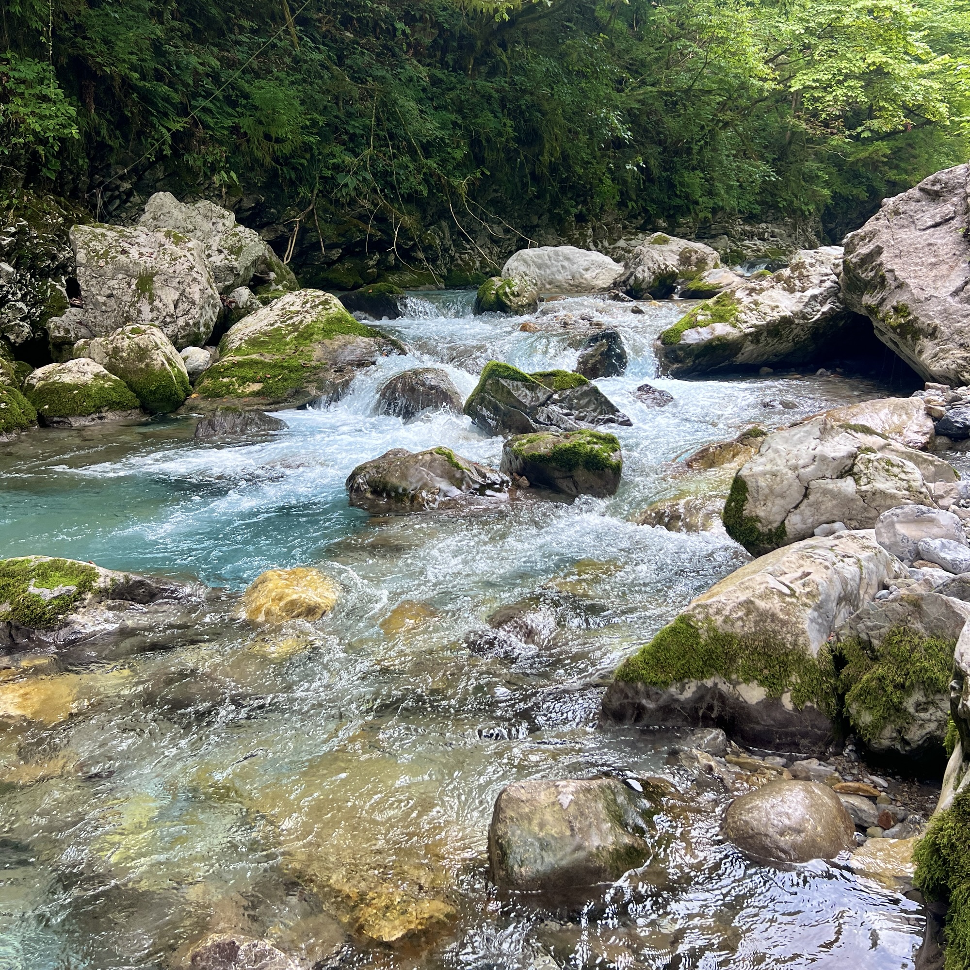 山県市 神崎川 ごろごろの滝
