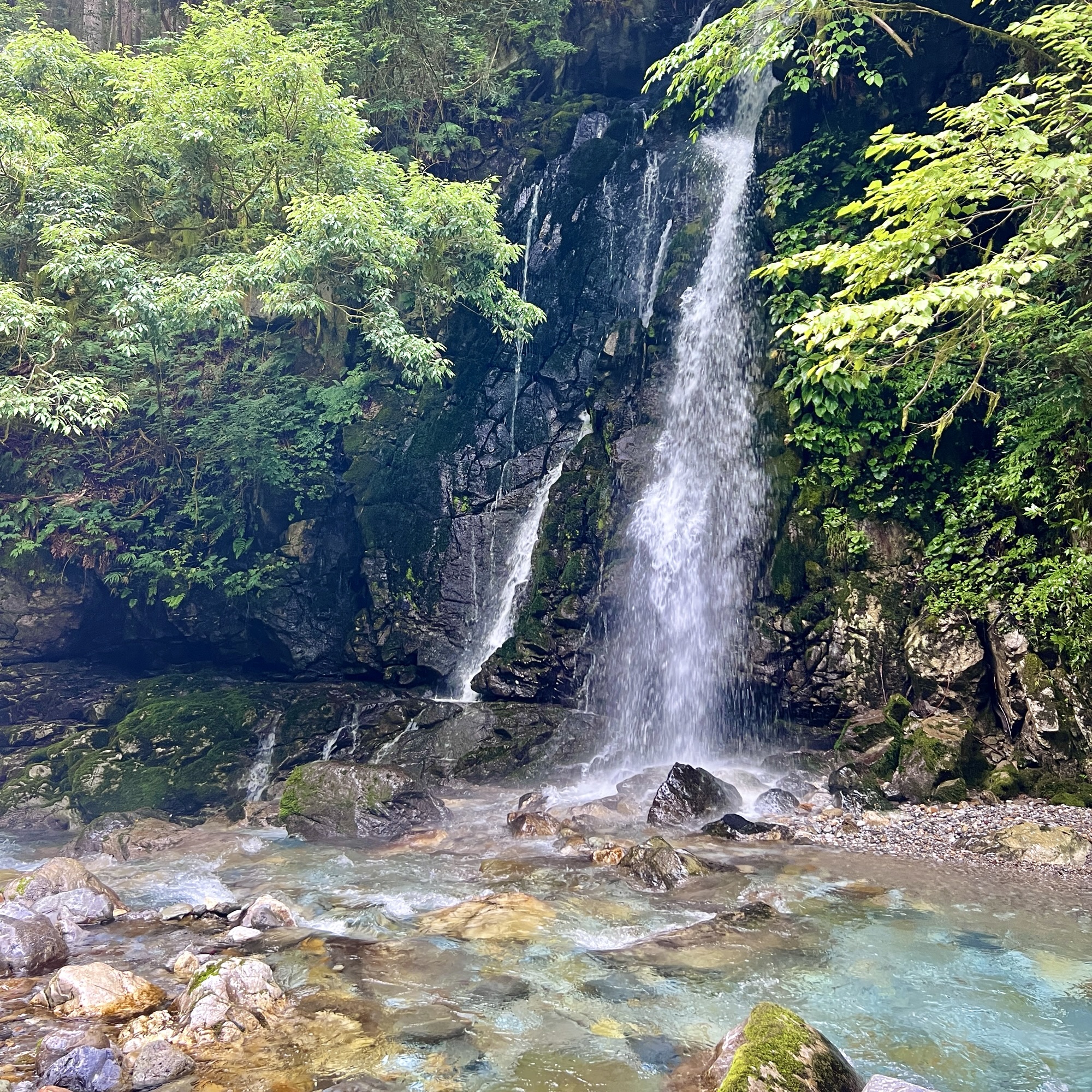 山県市 神崎川 ごろごろの滝