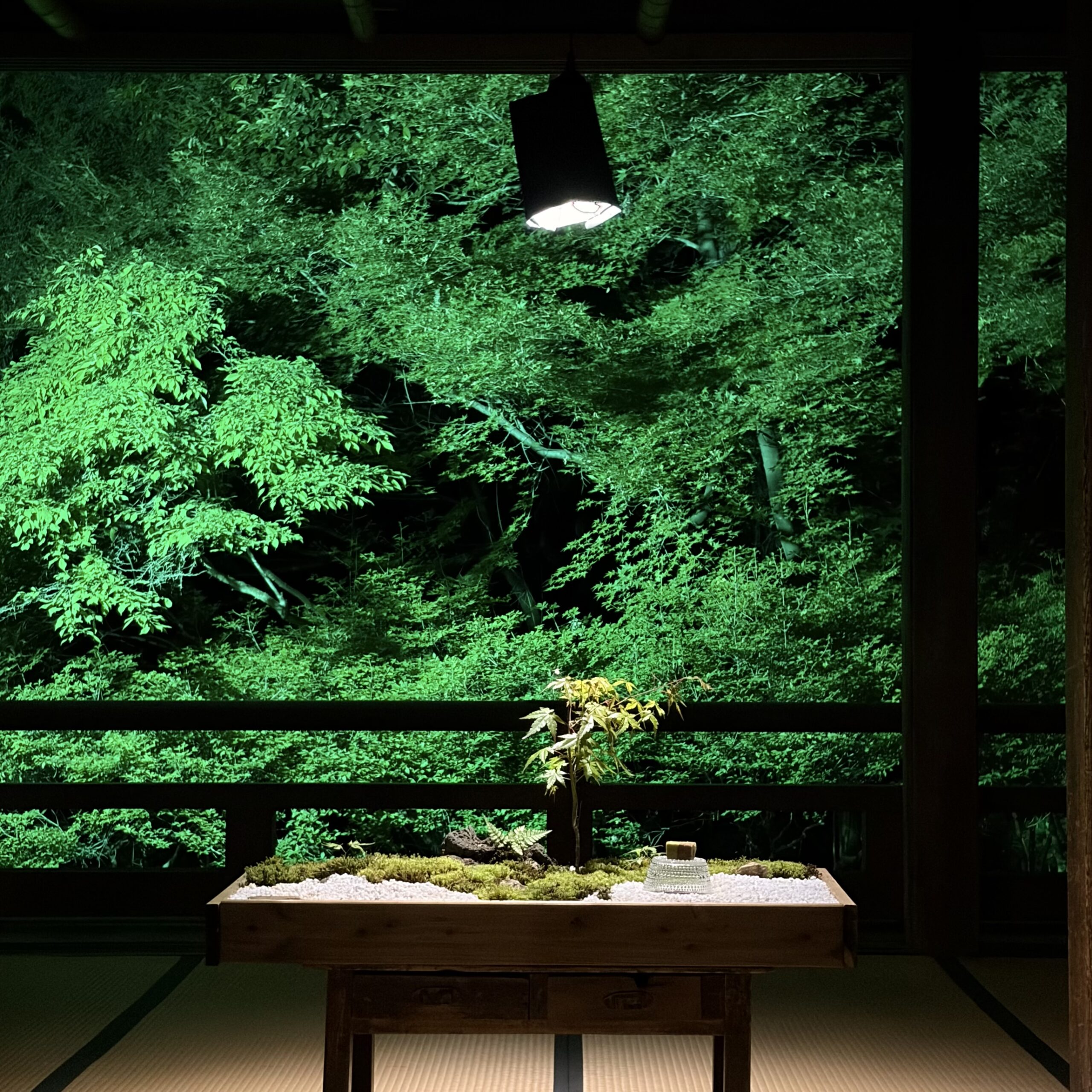 山県市 東光寺 新緑の食景 ライトアップ