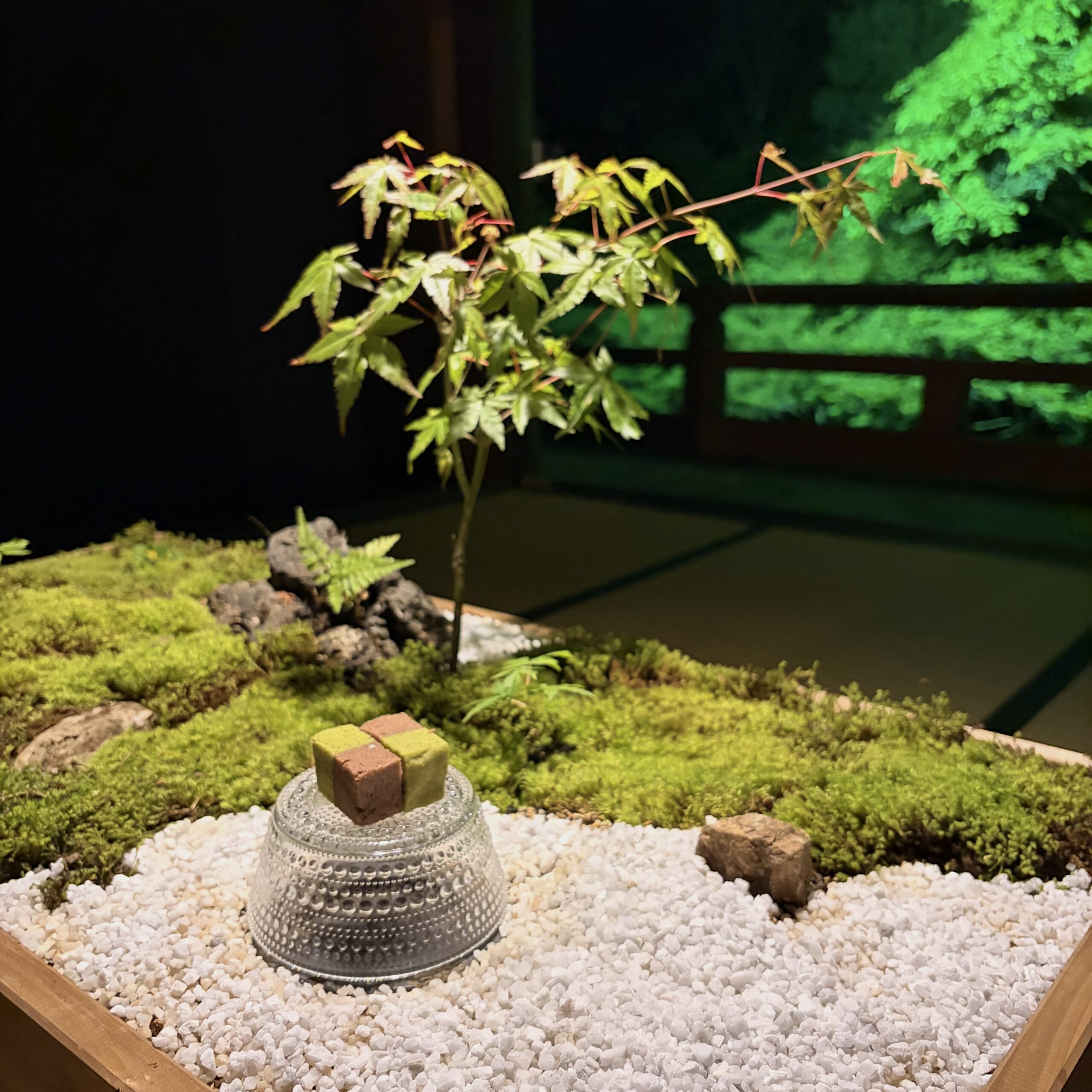 山県市 東光寺 新緑の食景 ライトアップ