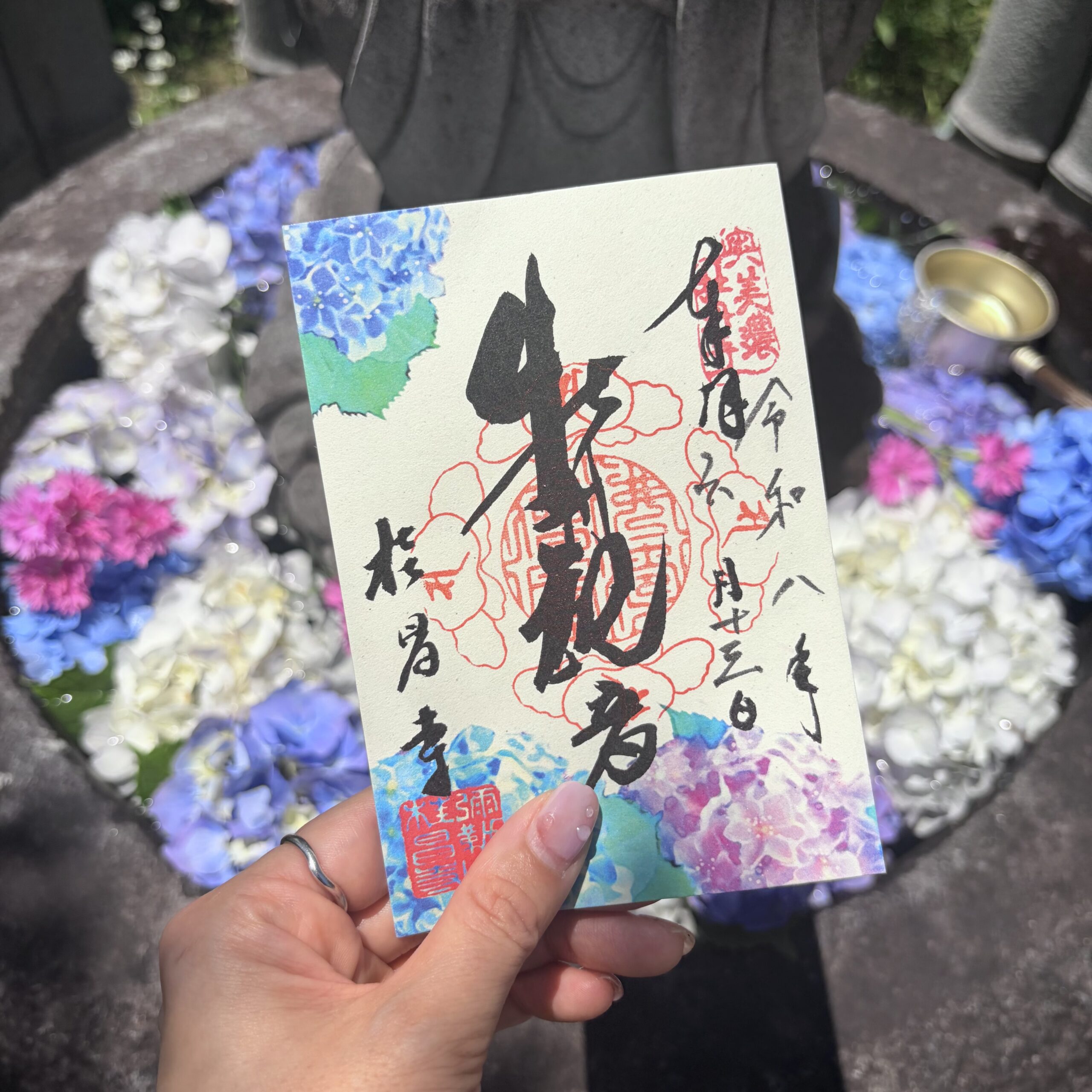 郡上市 桂昌寺 紫陽花 御朱印
