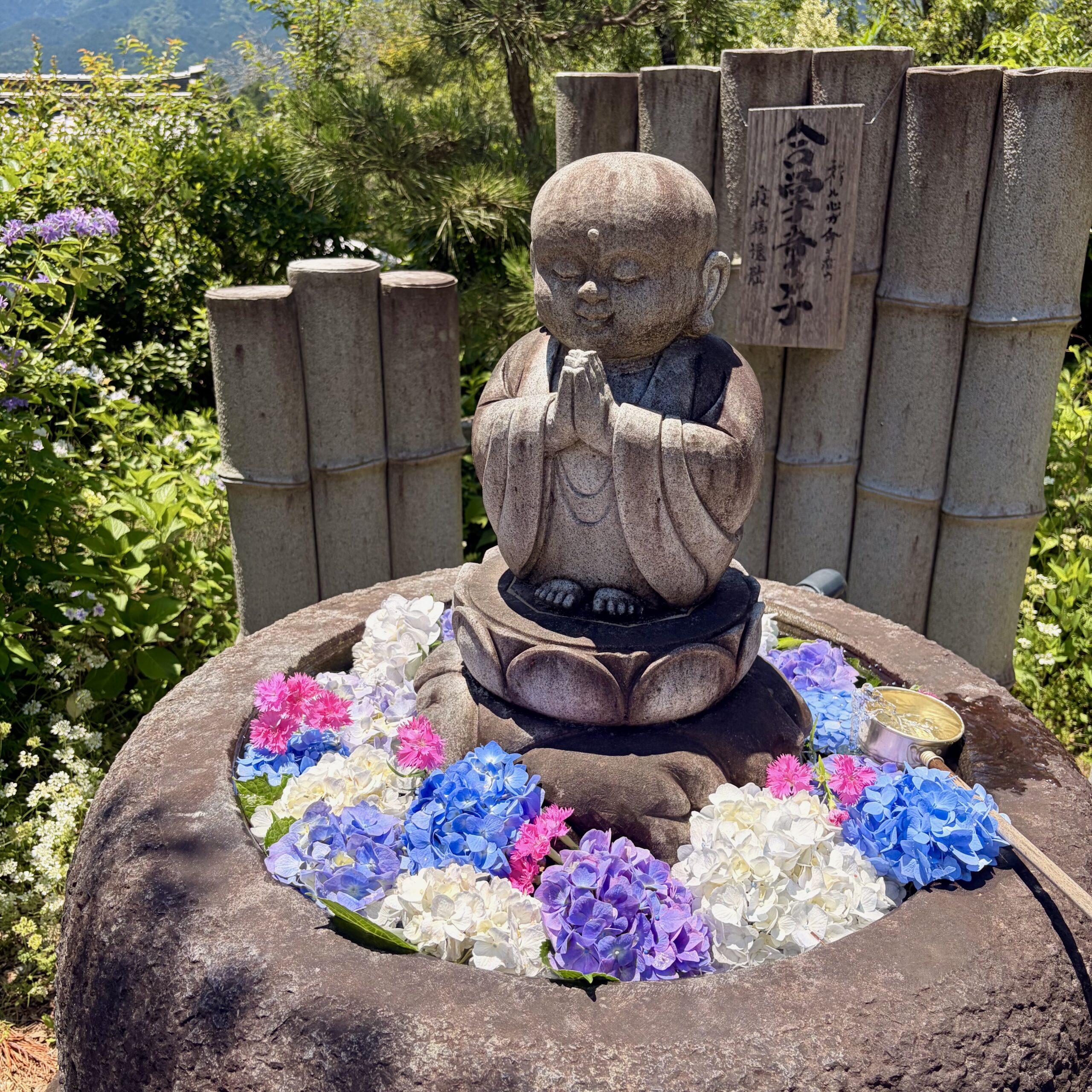 郡上市 桂昌寺 あじさい祭り 花手水