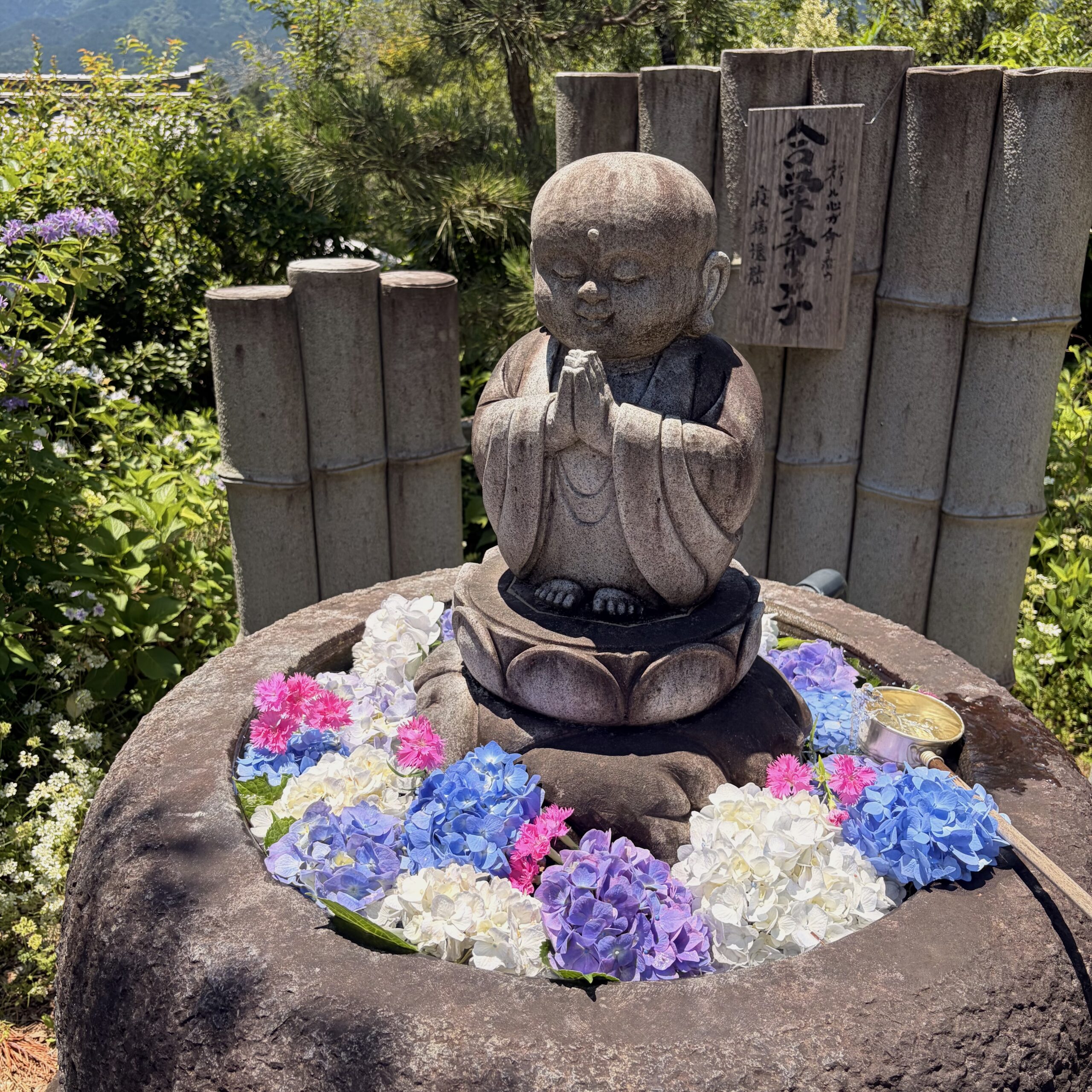 郡上市 桂昌寺 花手水 紫陽花祭り
