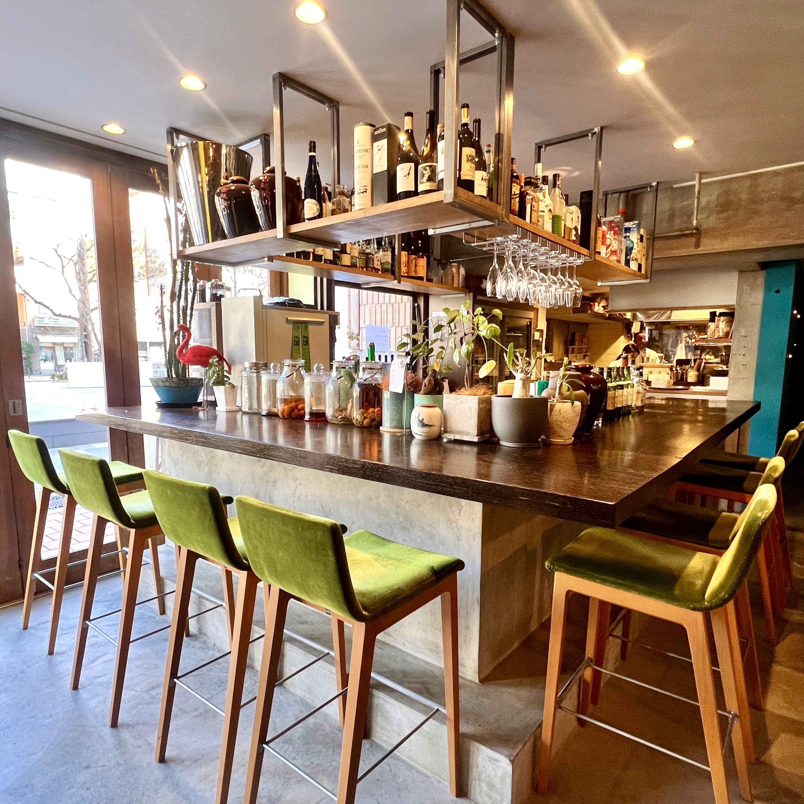 岐阜市 green yang グリーンヤング店内