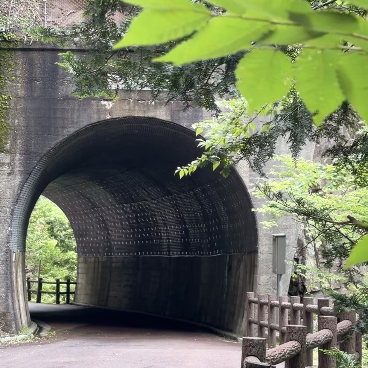 関市 板取 川浦渓谷（かおれけいこく）