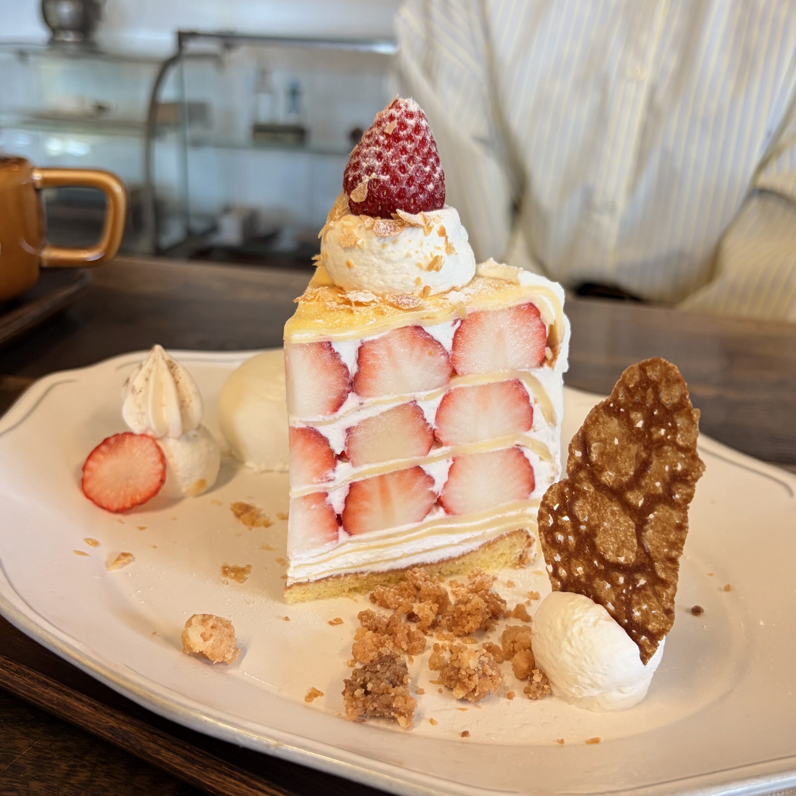 郡上市 ノカフェ 