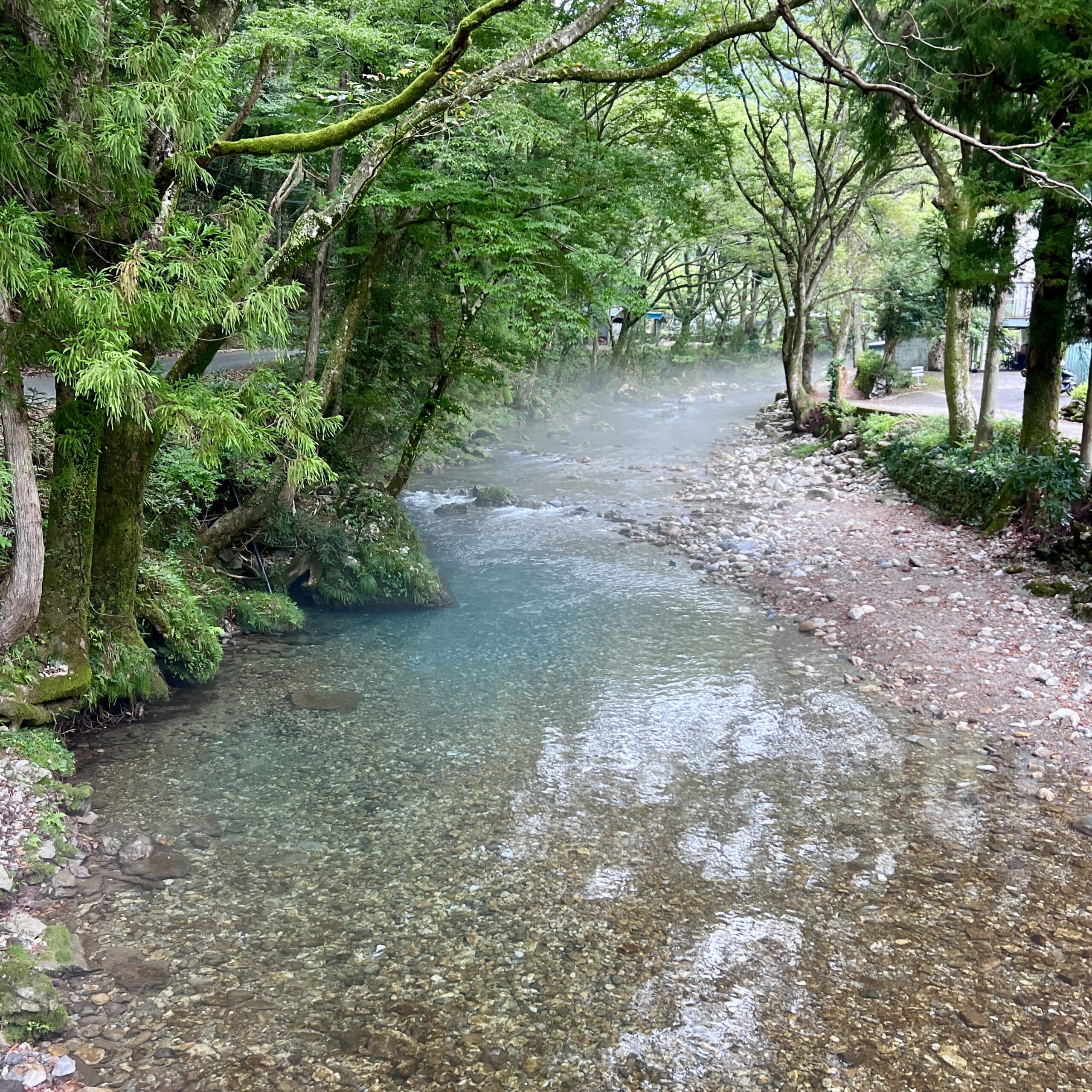 円原川 山県市 岐阜