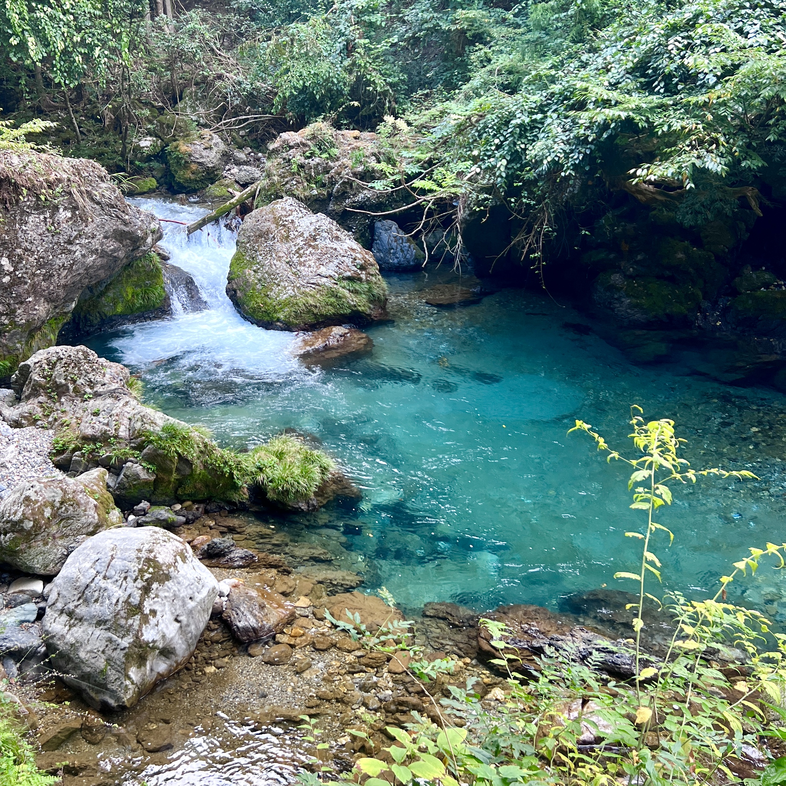 円原川 山県市 岐阜