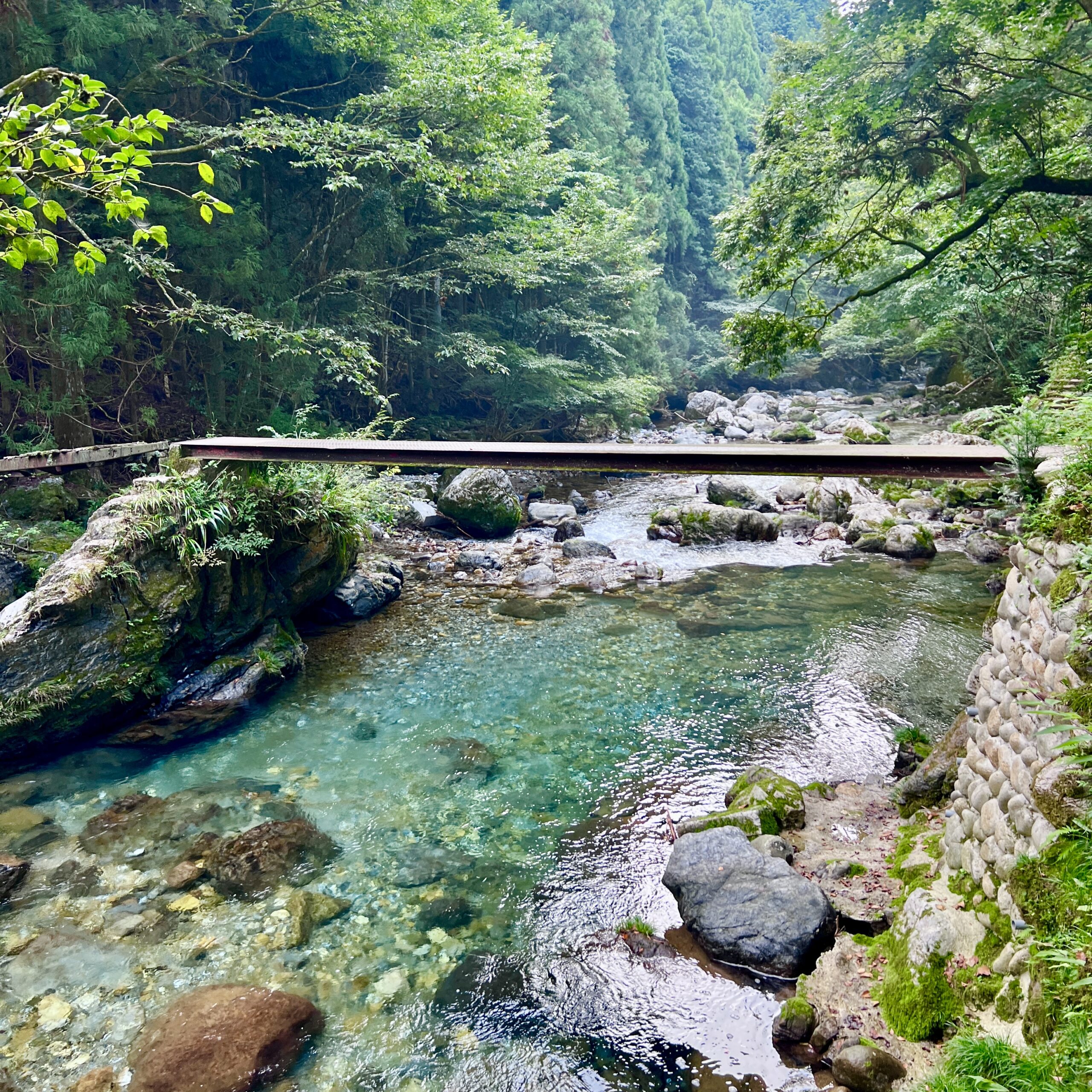円原川 山県市 岐阜