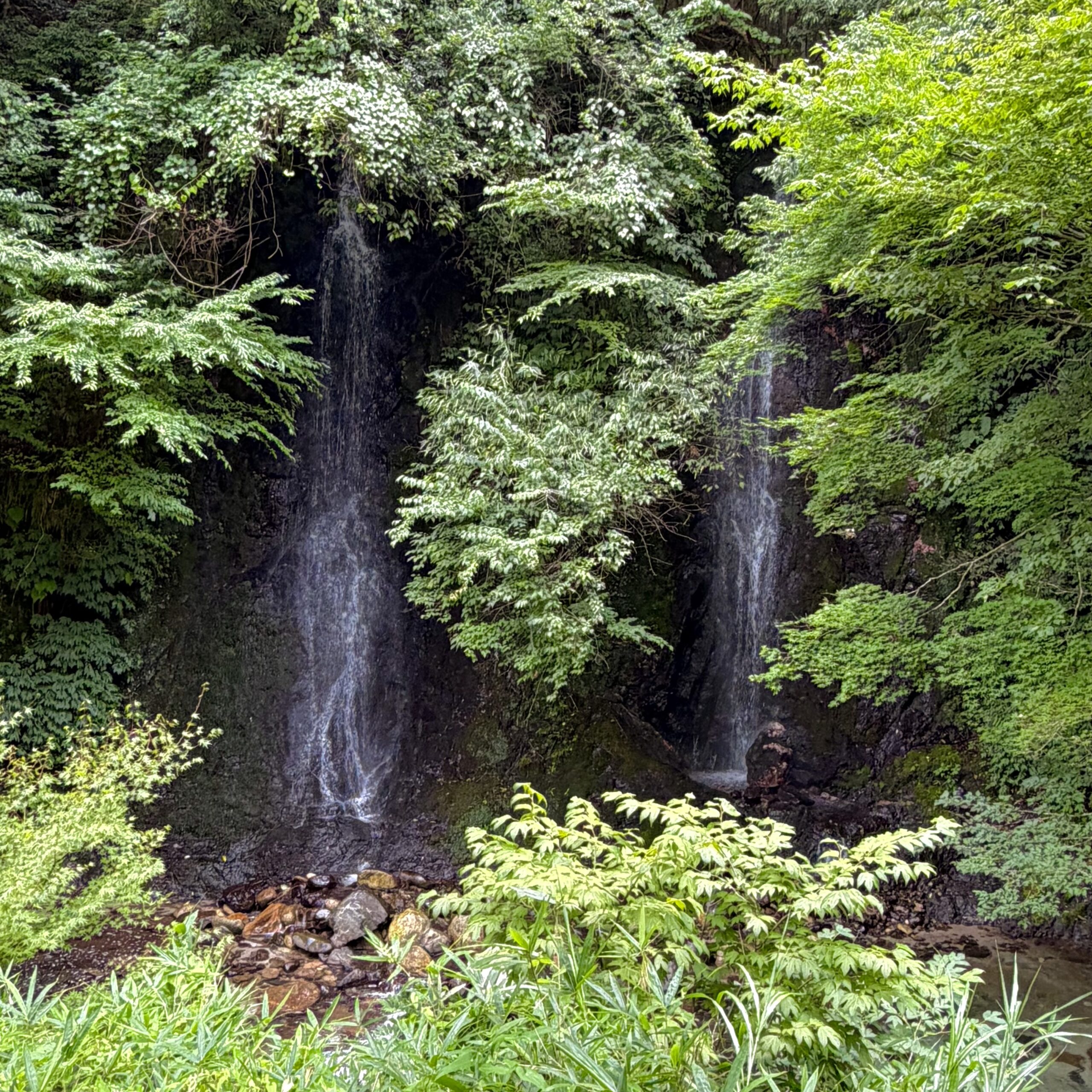 揖斐川町 日坂川 夫婦滝