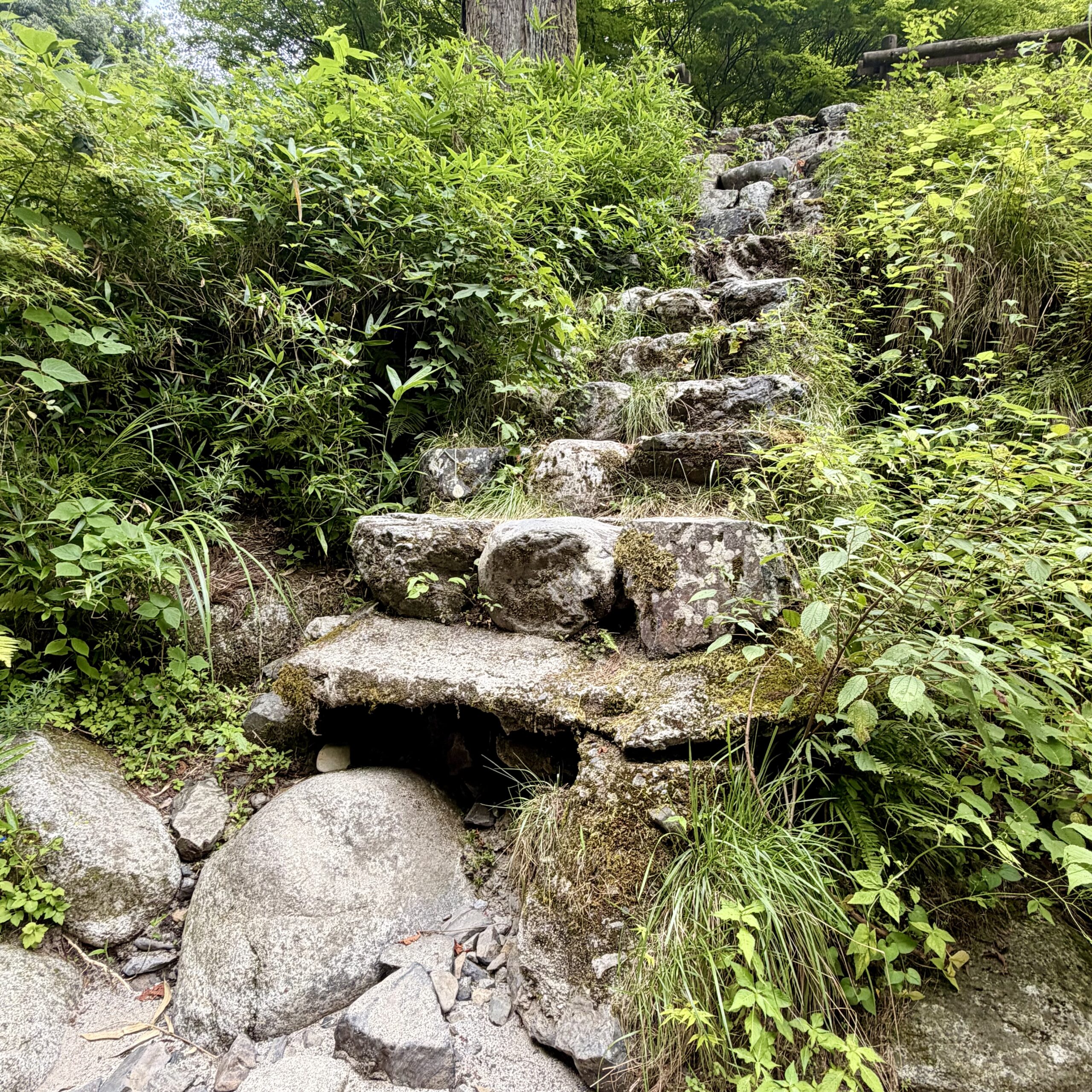 揖斐川町 日坂川 夫婦滝