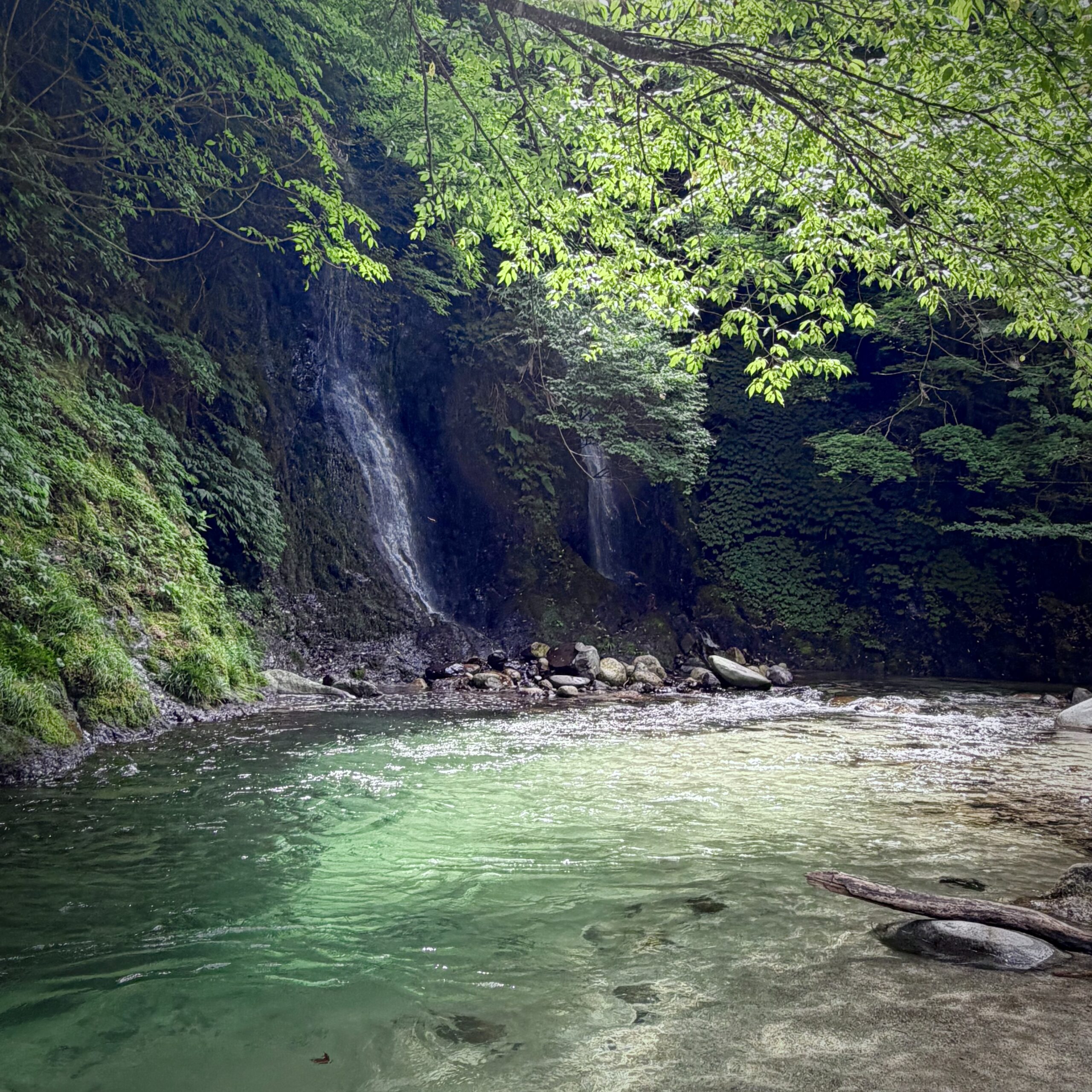揖斐川町 日坂川 夫婦滝
